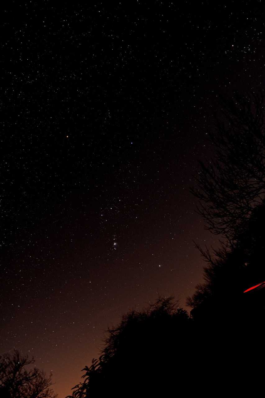 D71_5104.jpg