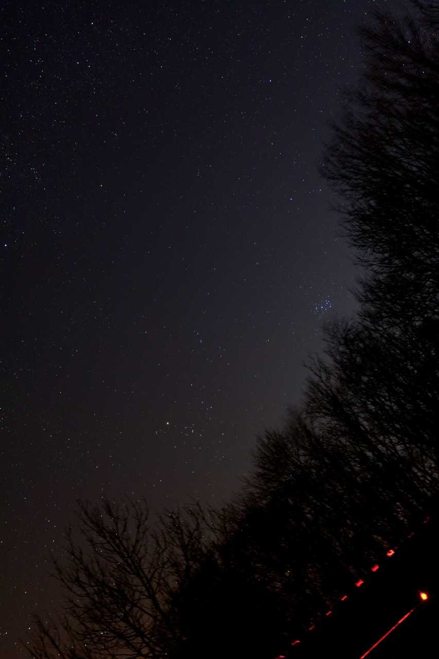 D71_5114.jpg