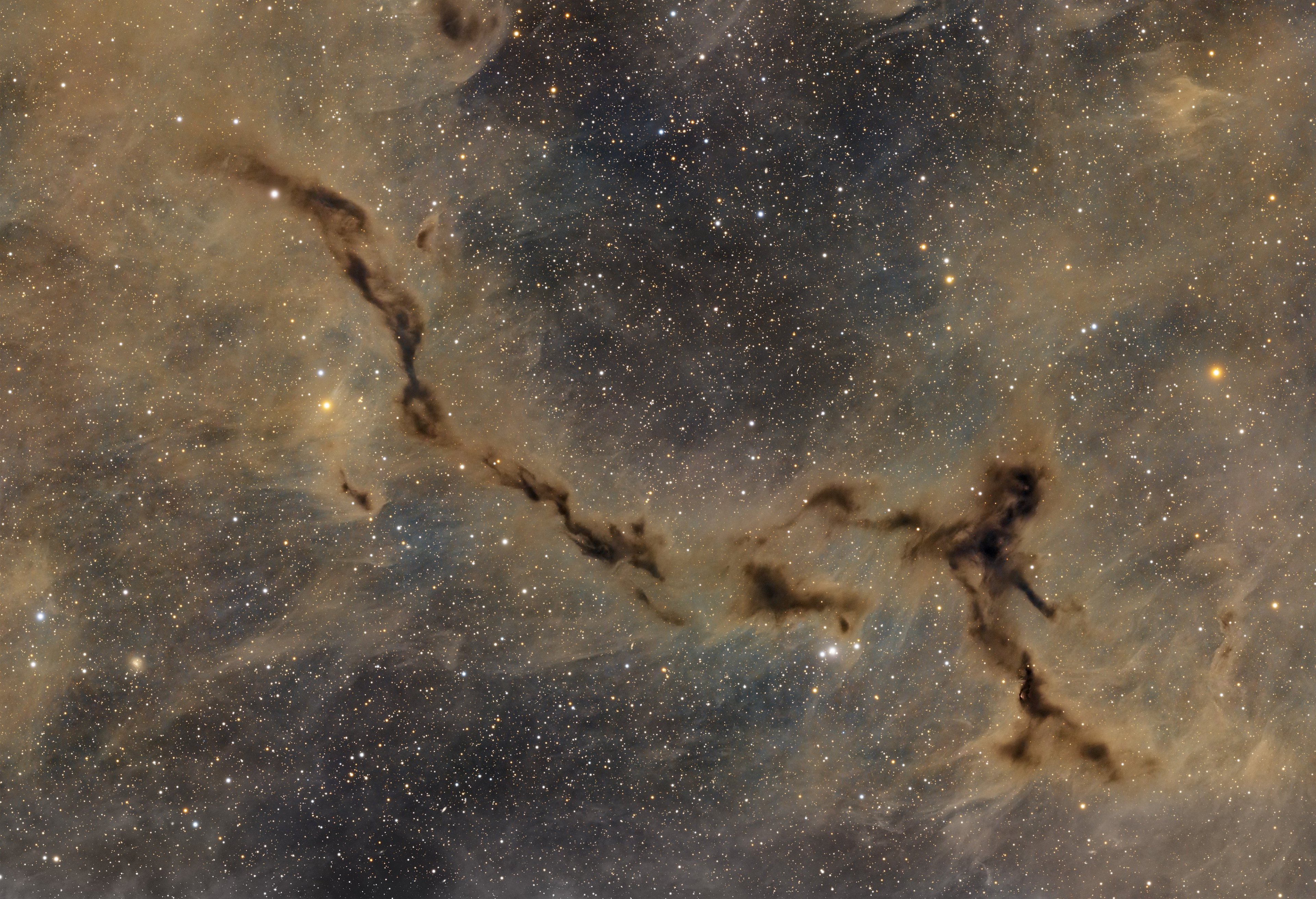 Das dunkle Seepferdchen im Cepheus – LDN 1082 (Barnard 150)