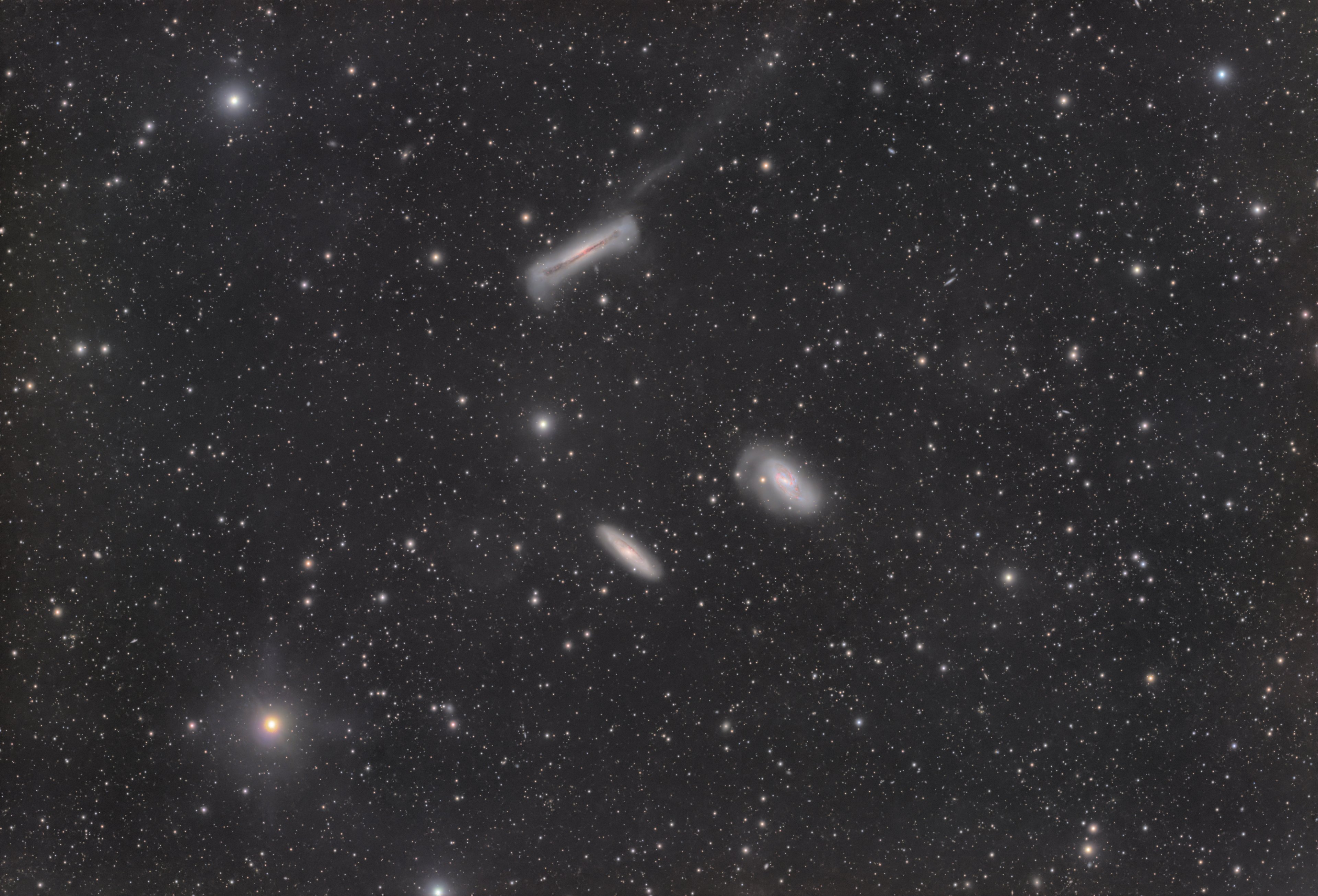 Das Leo Triplet