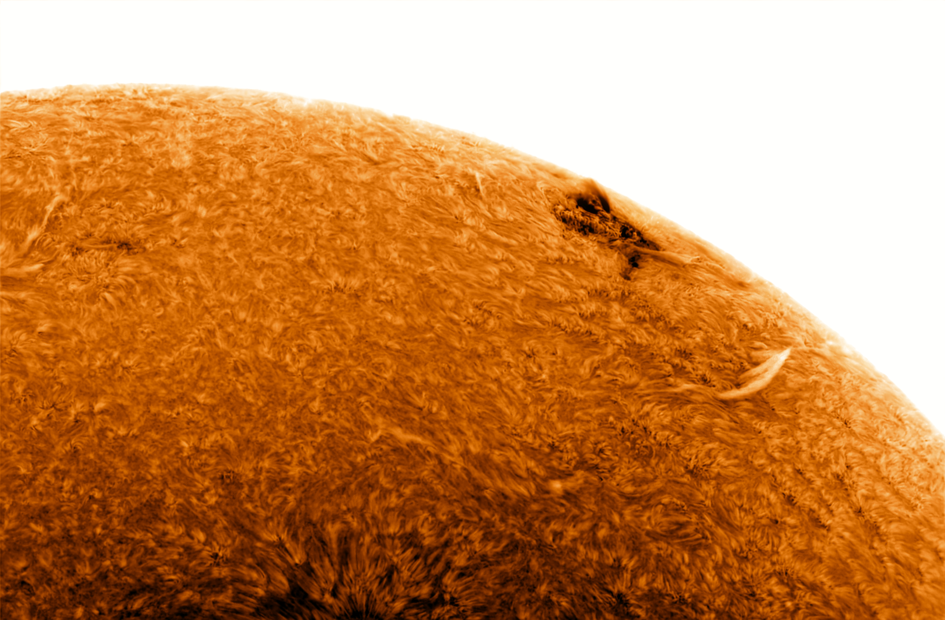 Daystar Quark Chromo (First Light) - Fertig!
