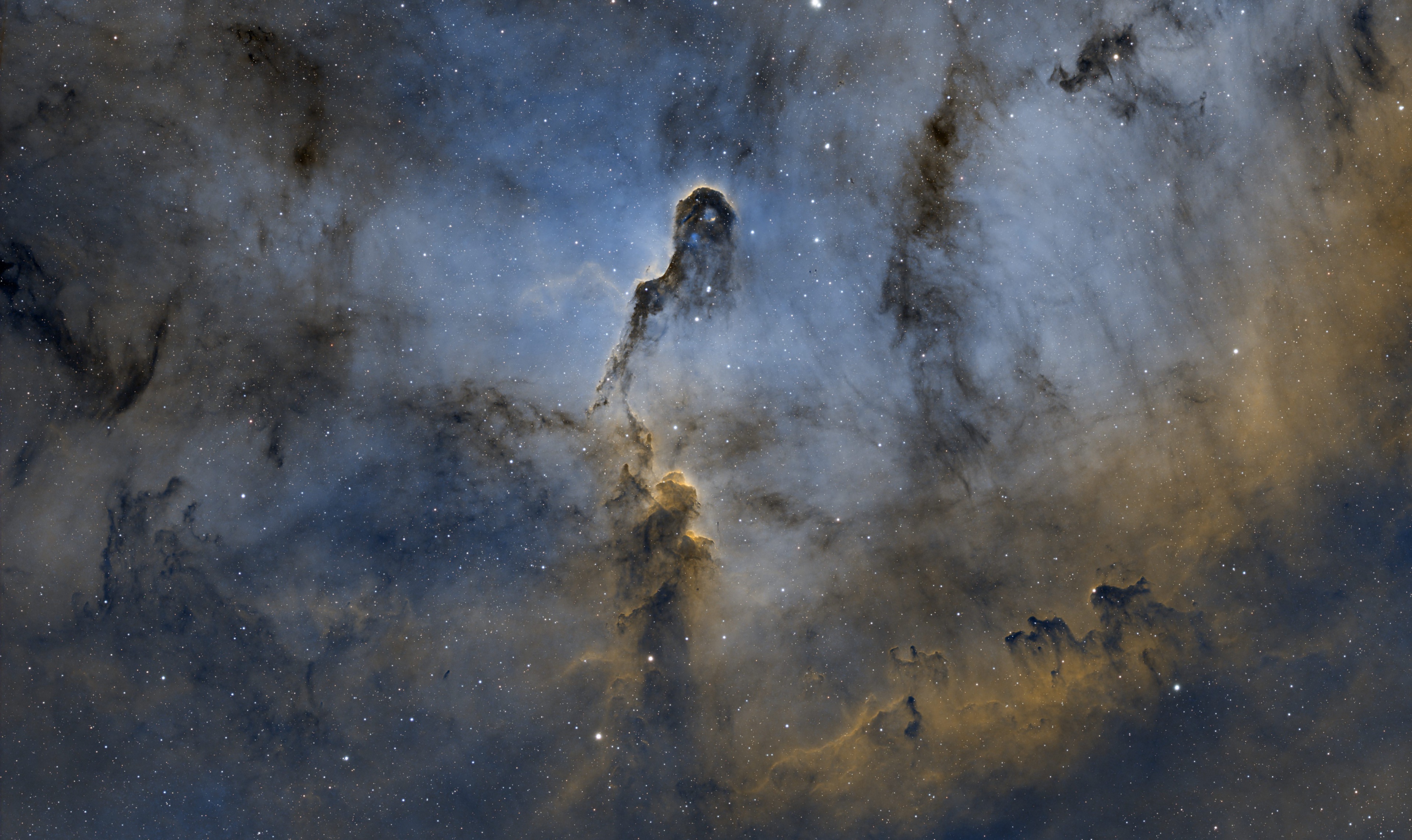 Der Rüssel in IC1396 | Forum Astronomie.de