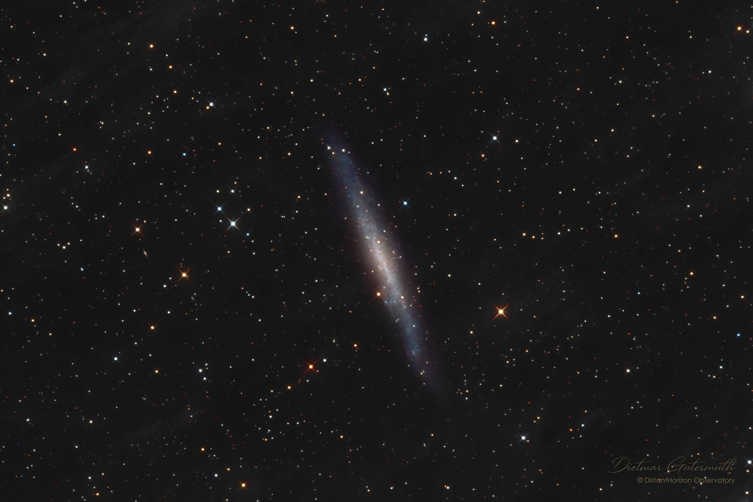 Die Galaxie NGC 1560