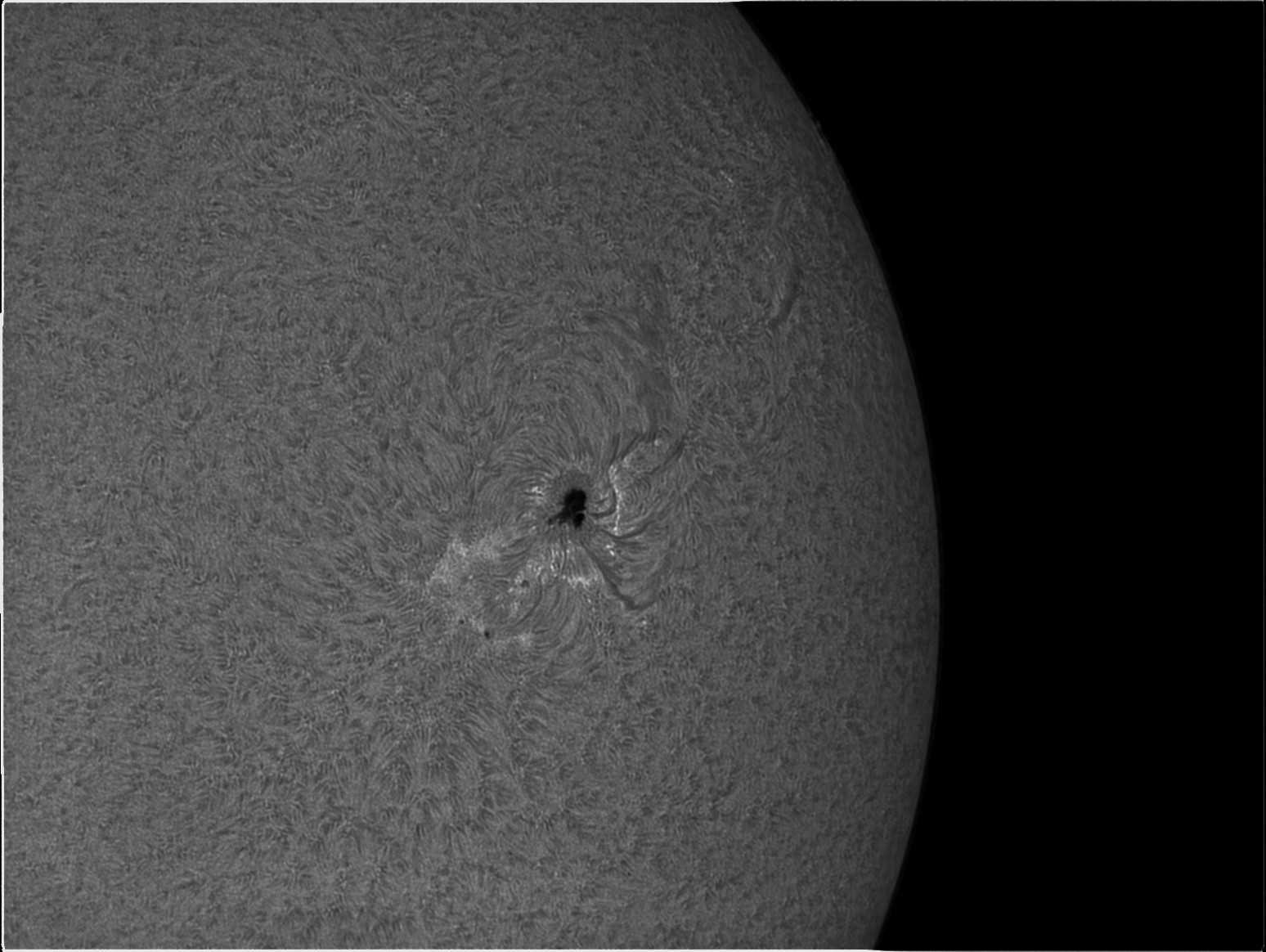 Drizzle15_Sun_140138_g3_b3_ap118_2.jpg
