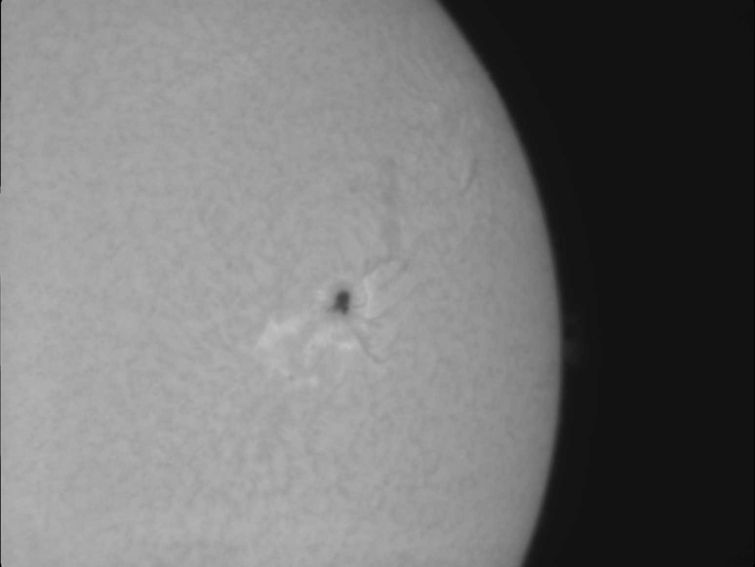 Drizzle15_Sun_140138_g3_b3_ap118_4.jpg