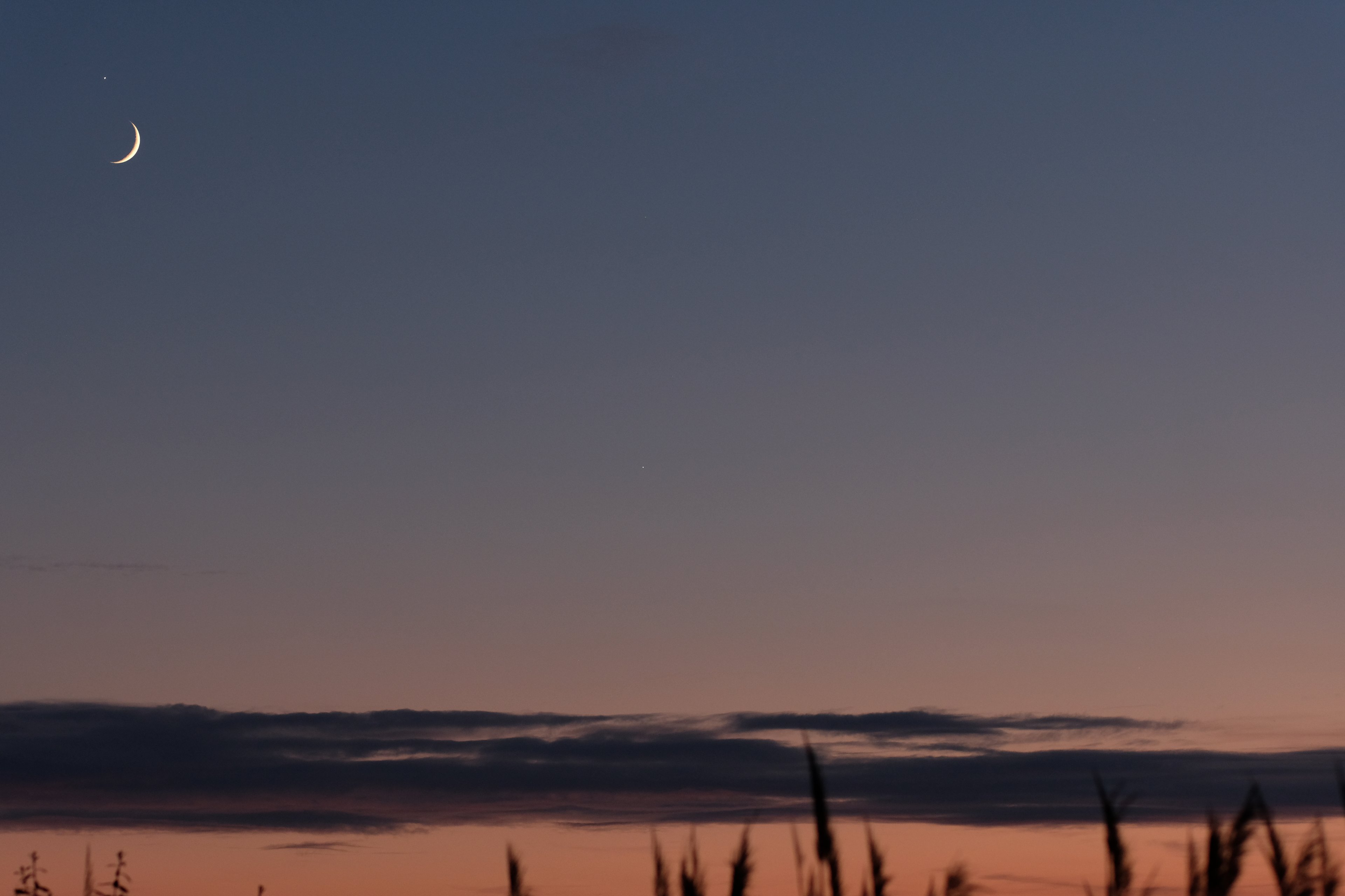 DSCF0587.JPG