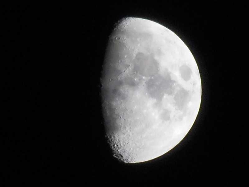 DSCI0694 (2) (800x600).jpg
