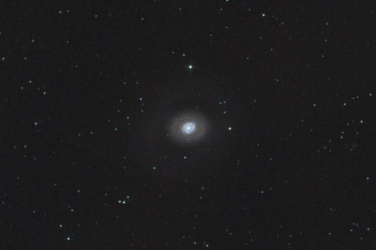 DSLR: M94