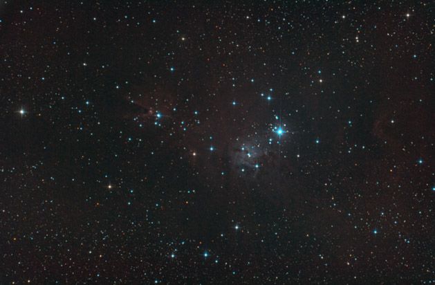 DSLR: NGC 2264 - Weihnachtsbaum-Haufen