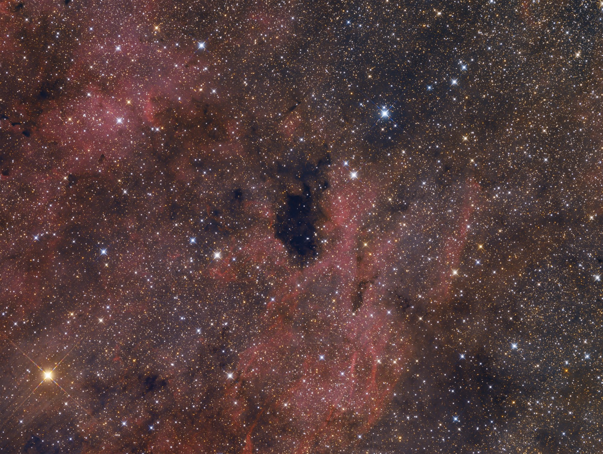 Dunkelwolke Barnard 343