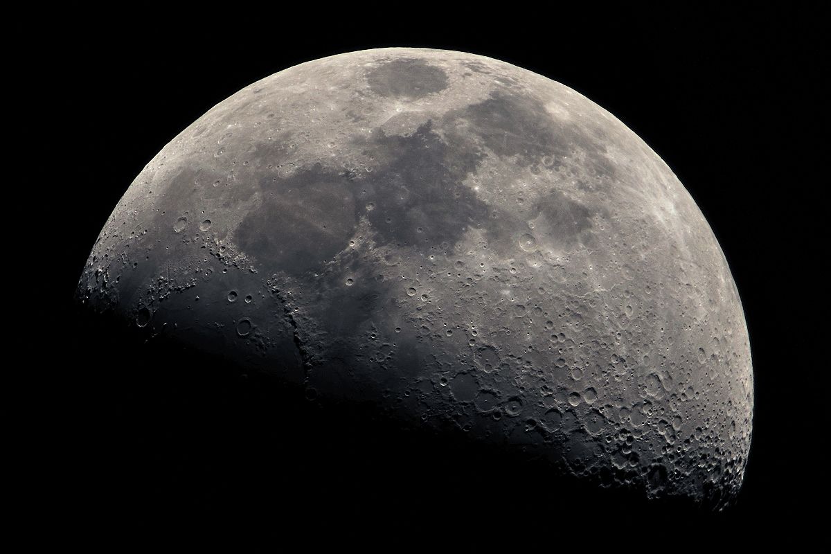 Einzelfoto März 2010