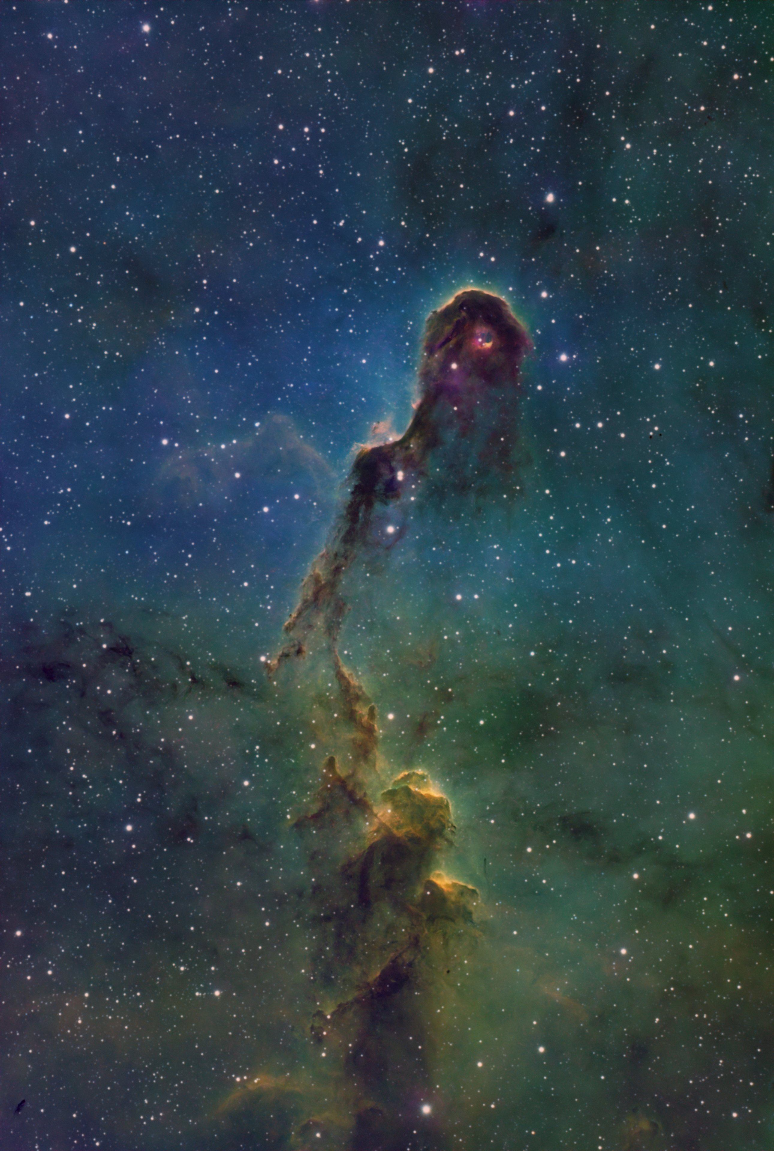 Elefantenrüssel in SHO bei Vollmond