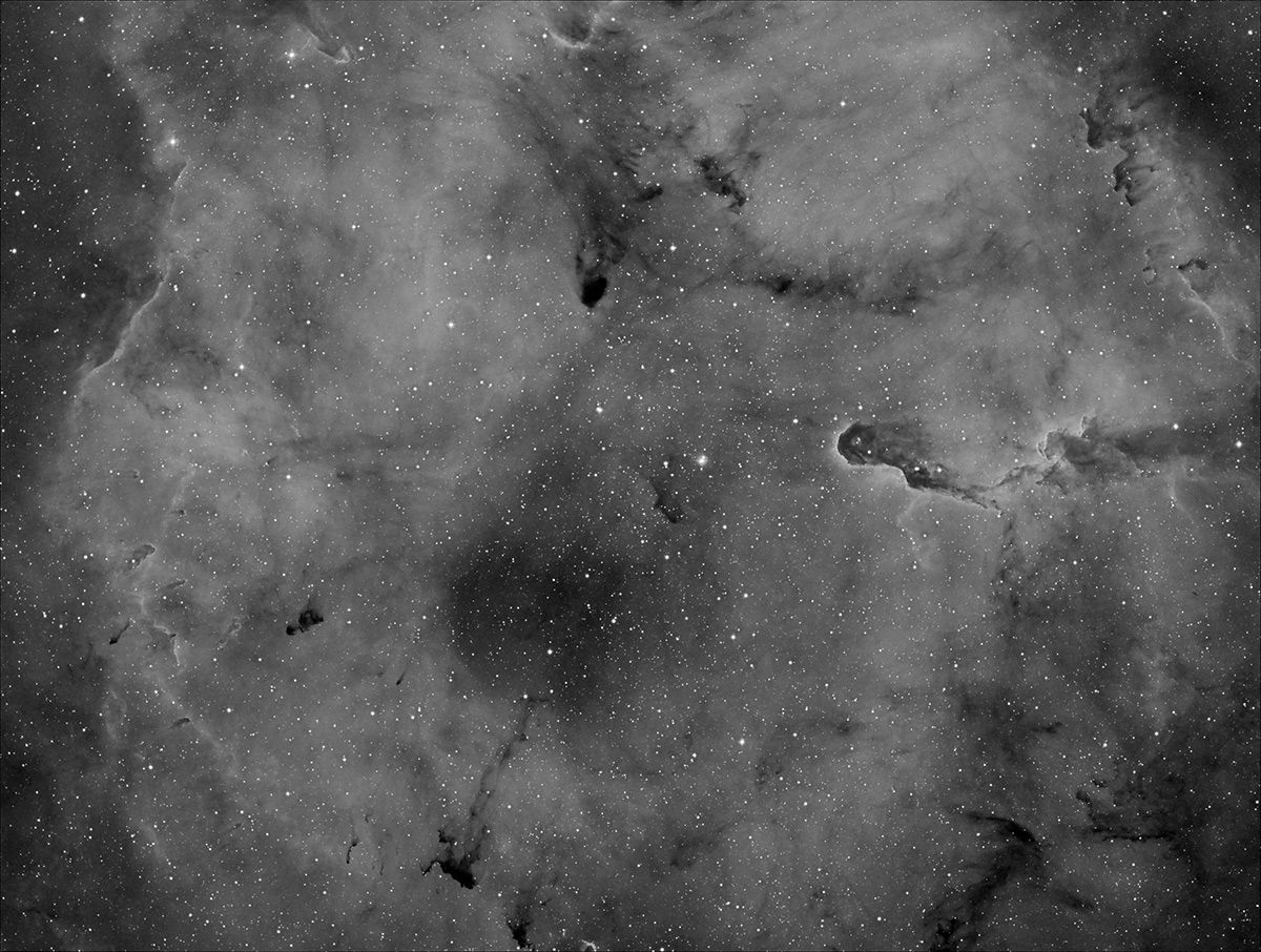 Elefantenrüssel mit 450mm, Vollversion