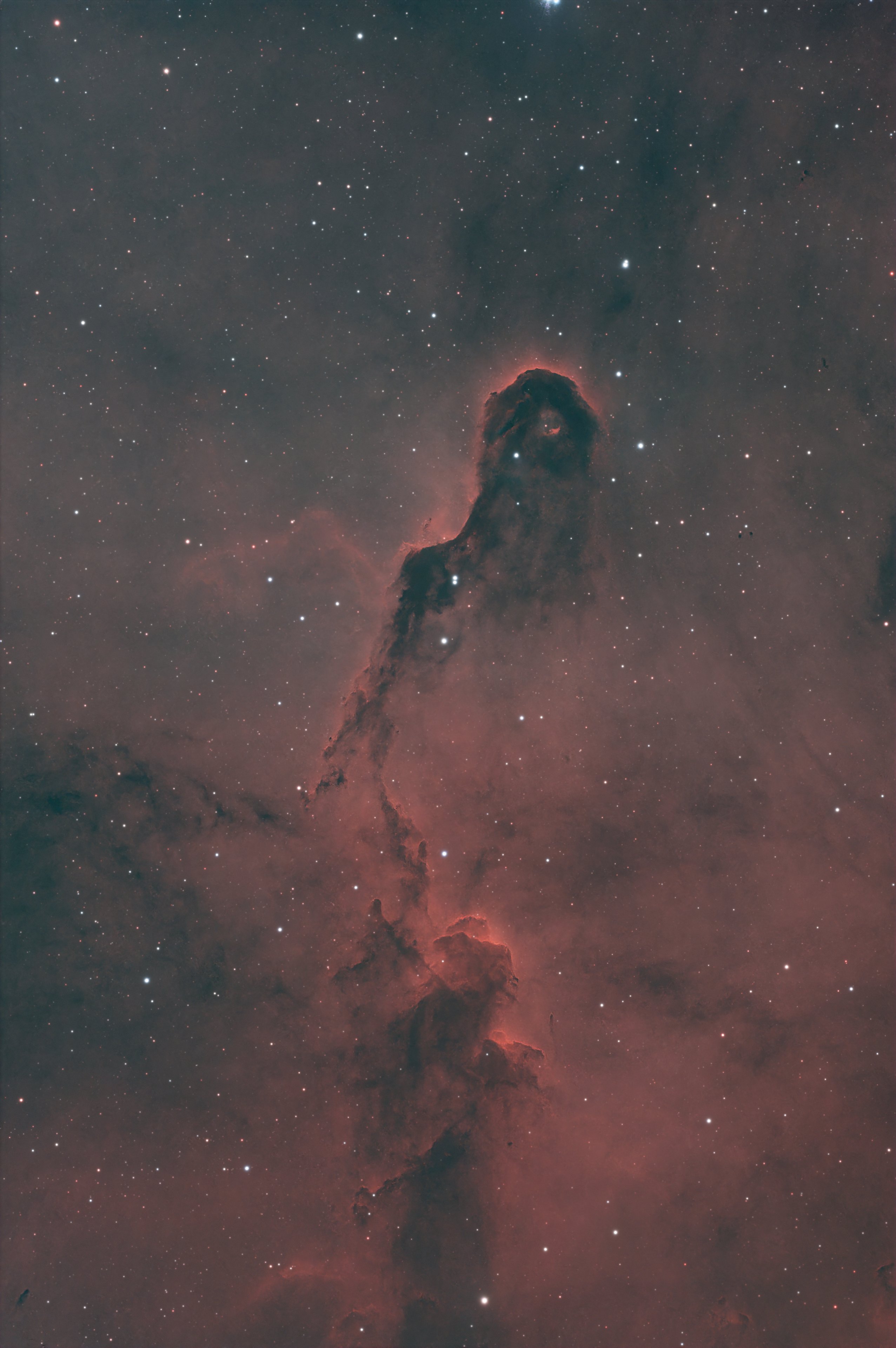 Elefantenrüssel-Nebel in H alpha