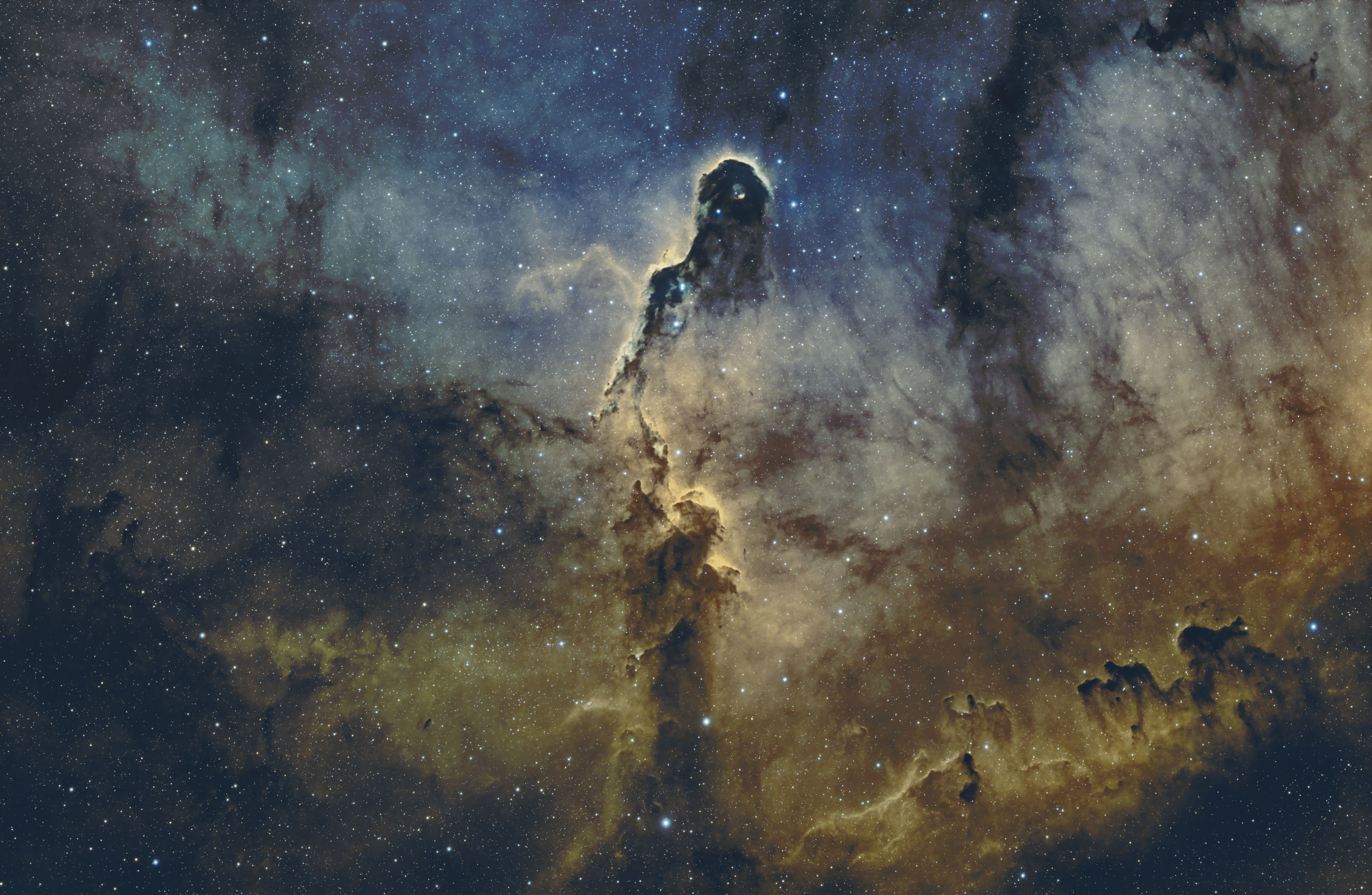 Elefantenrüsselnebel IC 1396A