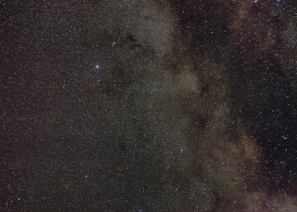 End_Adler_1000px.jpg