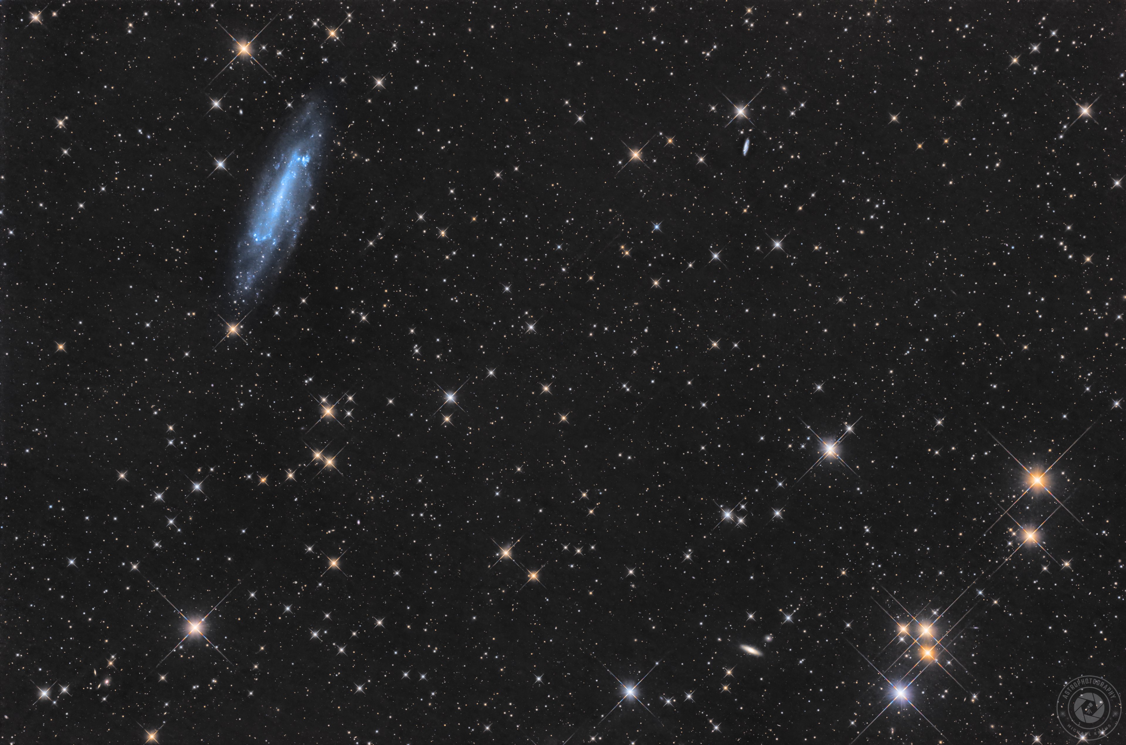 Feld um NGC 4236