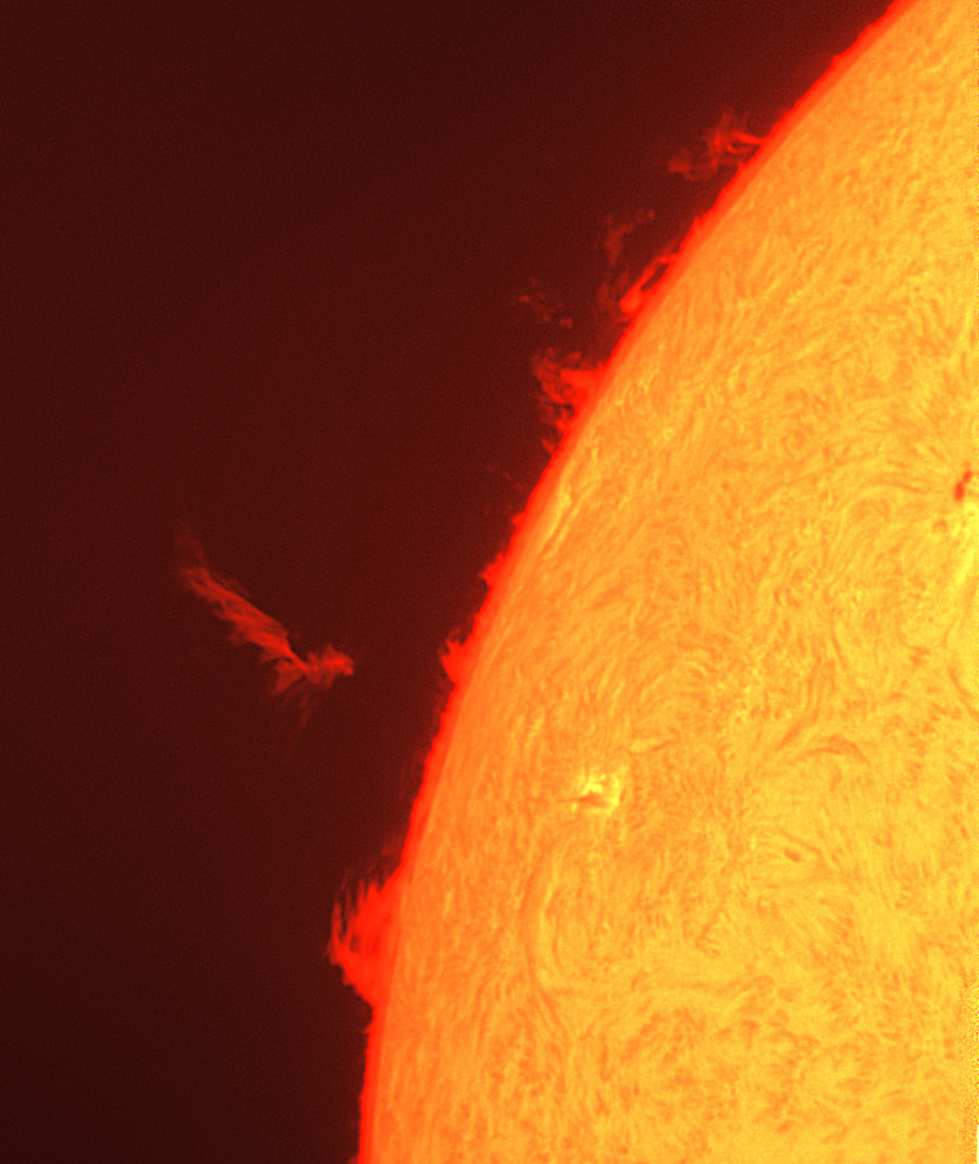 Feuervogel -  Protuberanz am 16-07-23 um 09-58 MESZ.jpg