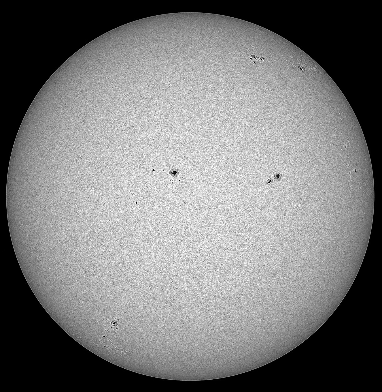 FOA-60 250723 10_26_50 2.jpg