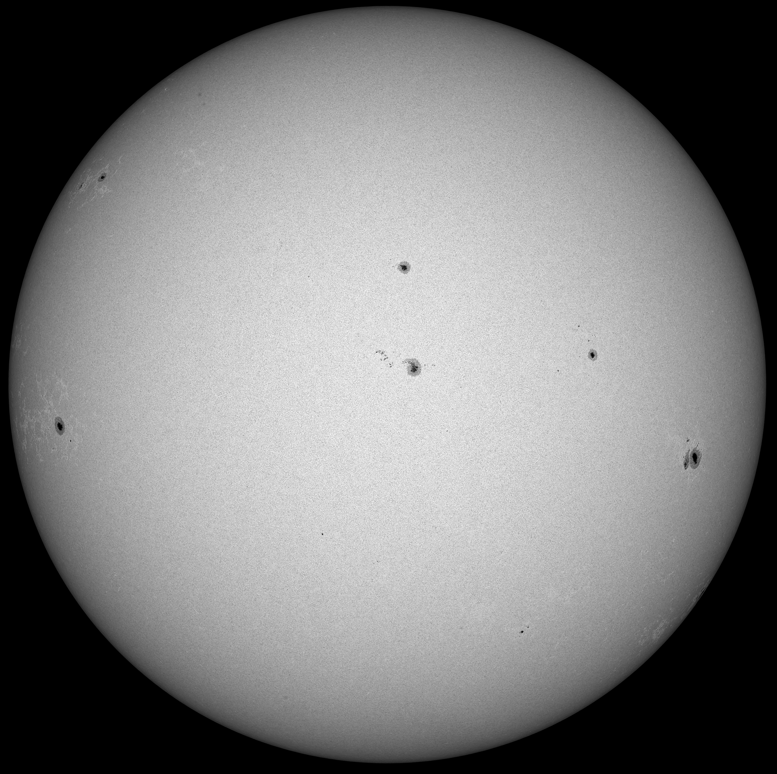 FOA-60 Q +1,5 x Tak Extender 040823 16_13_44.jpg