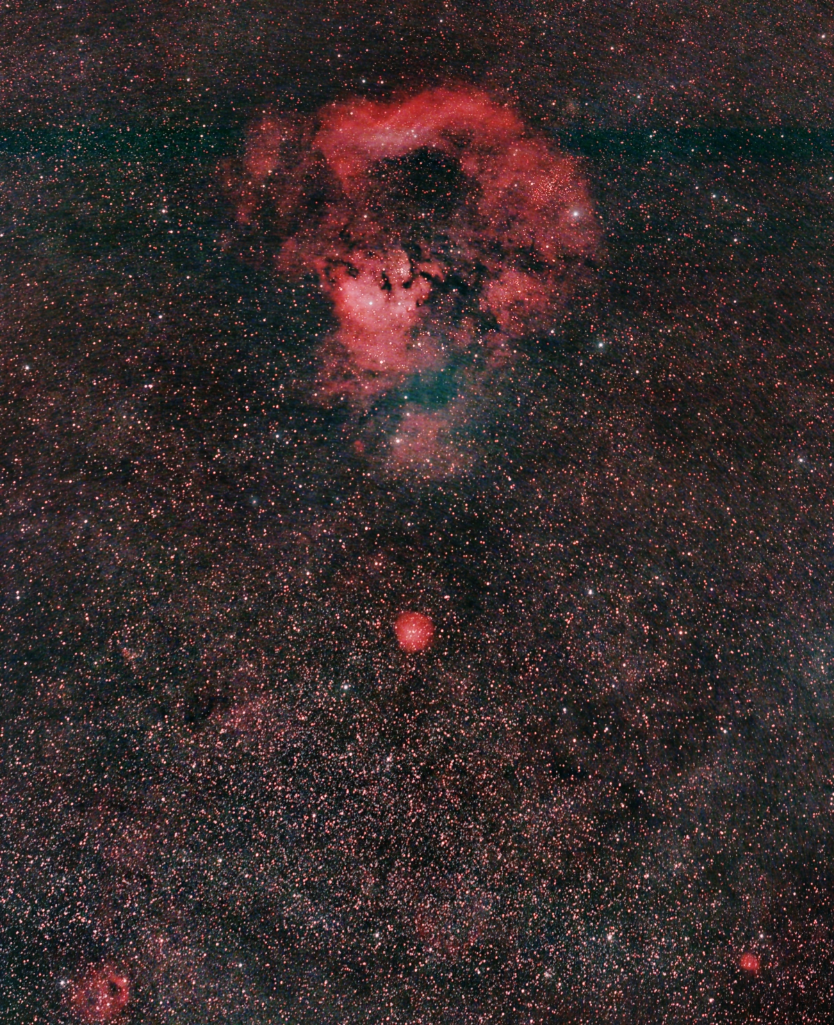 Fragezeichen-Nebel NGC 7822 Weitfeld: mit IDAS V4-Filter (60 nm GB +16 nm Rot); Samy 135mm, f/2, 43x4 min; 85% Ausschnitt