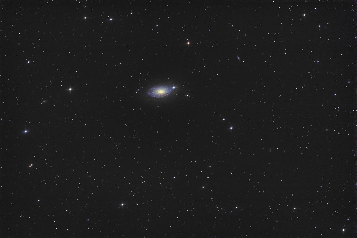 Frühlingsgrüße mit der Sunflower-Galaxie