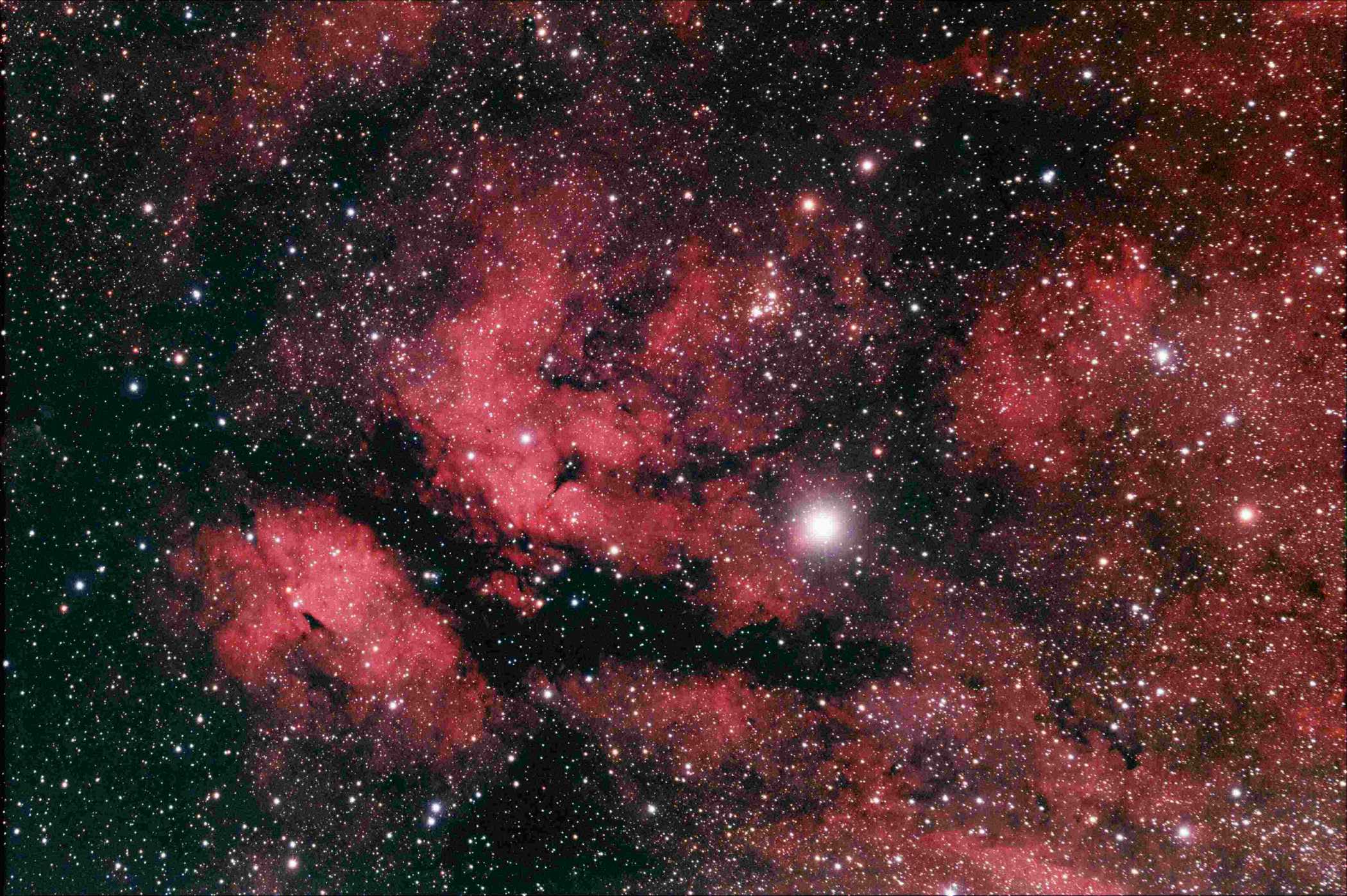 Gamma Cygni Region