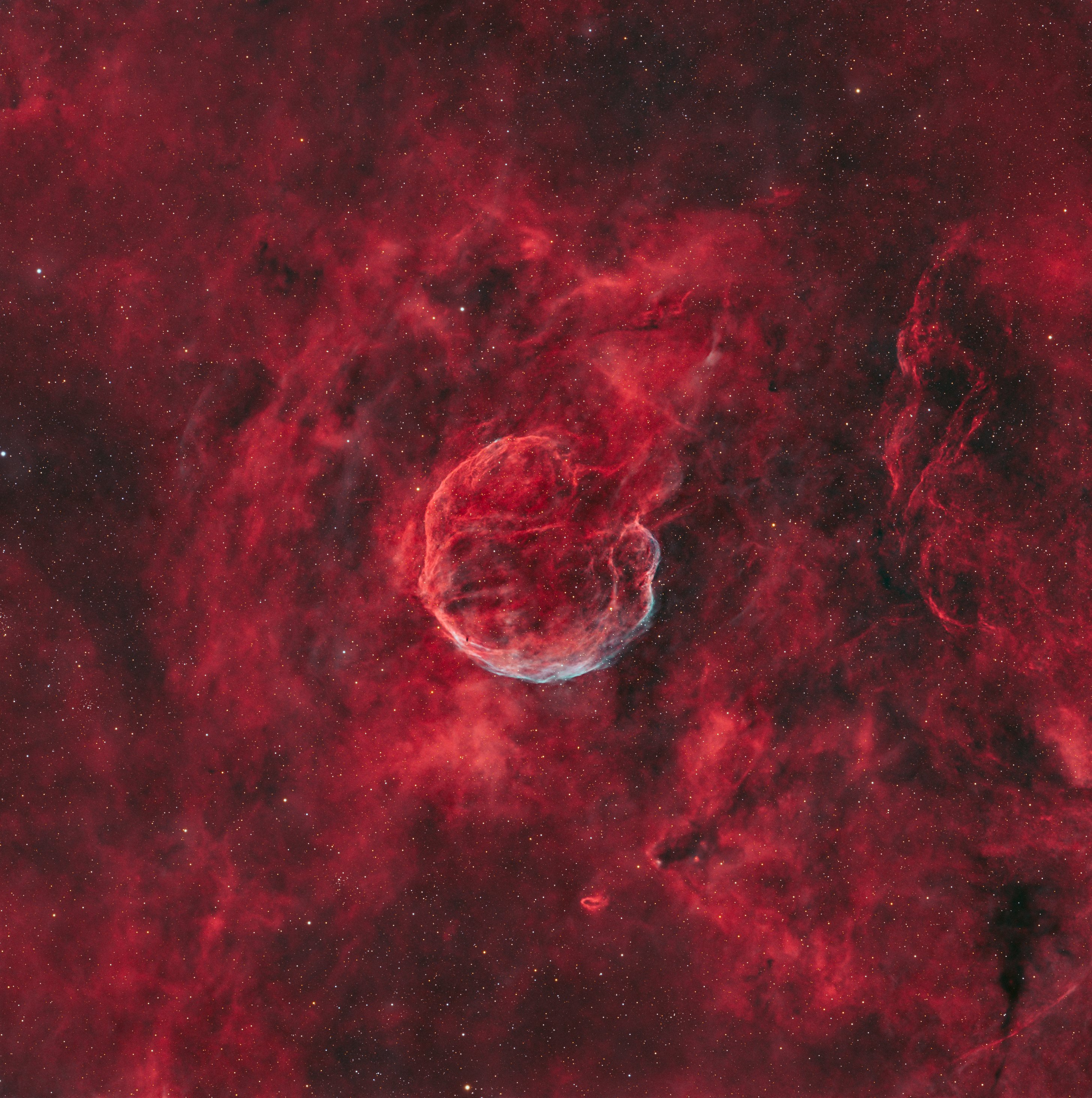 garlic nebula