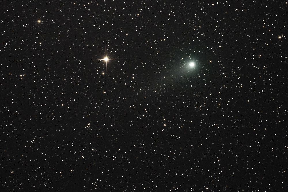 Gerradd_HIP100276_small.jpg