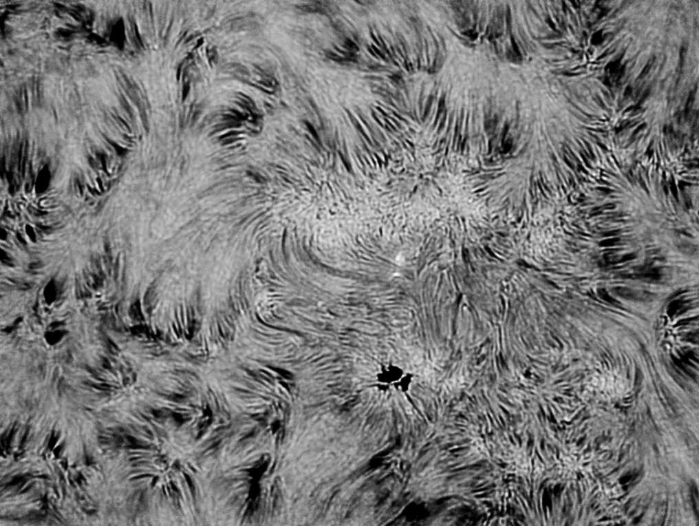 H-Alpha-Region 03.08.