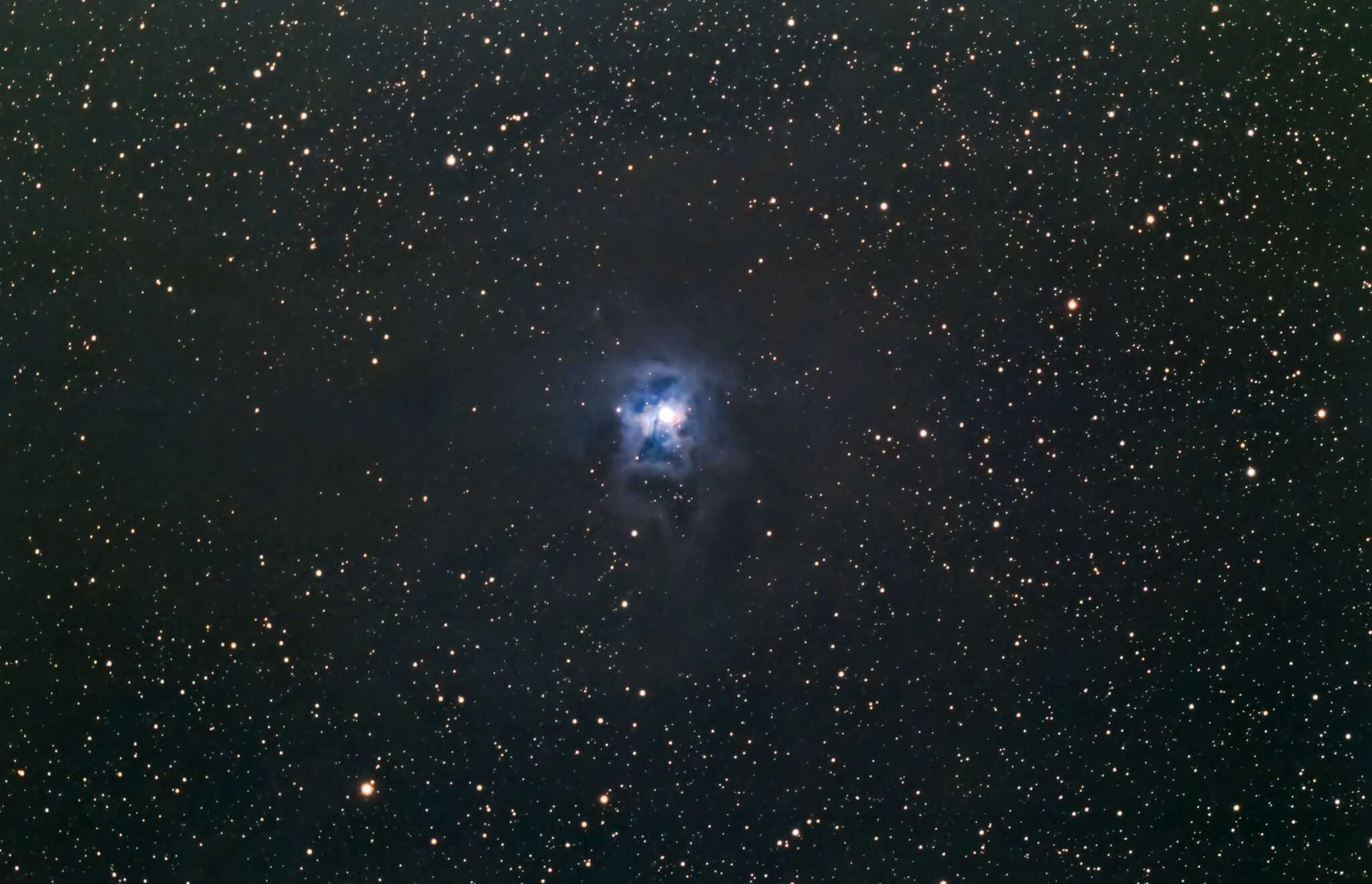 harte Nuss: NGC 7023