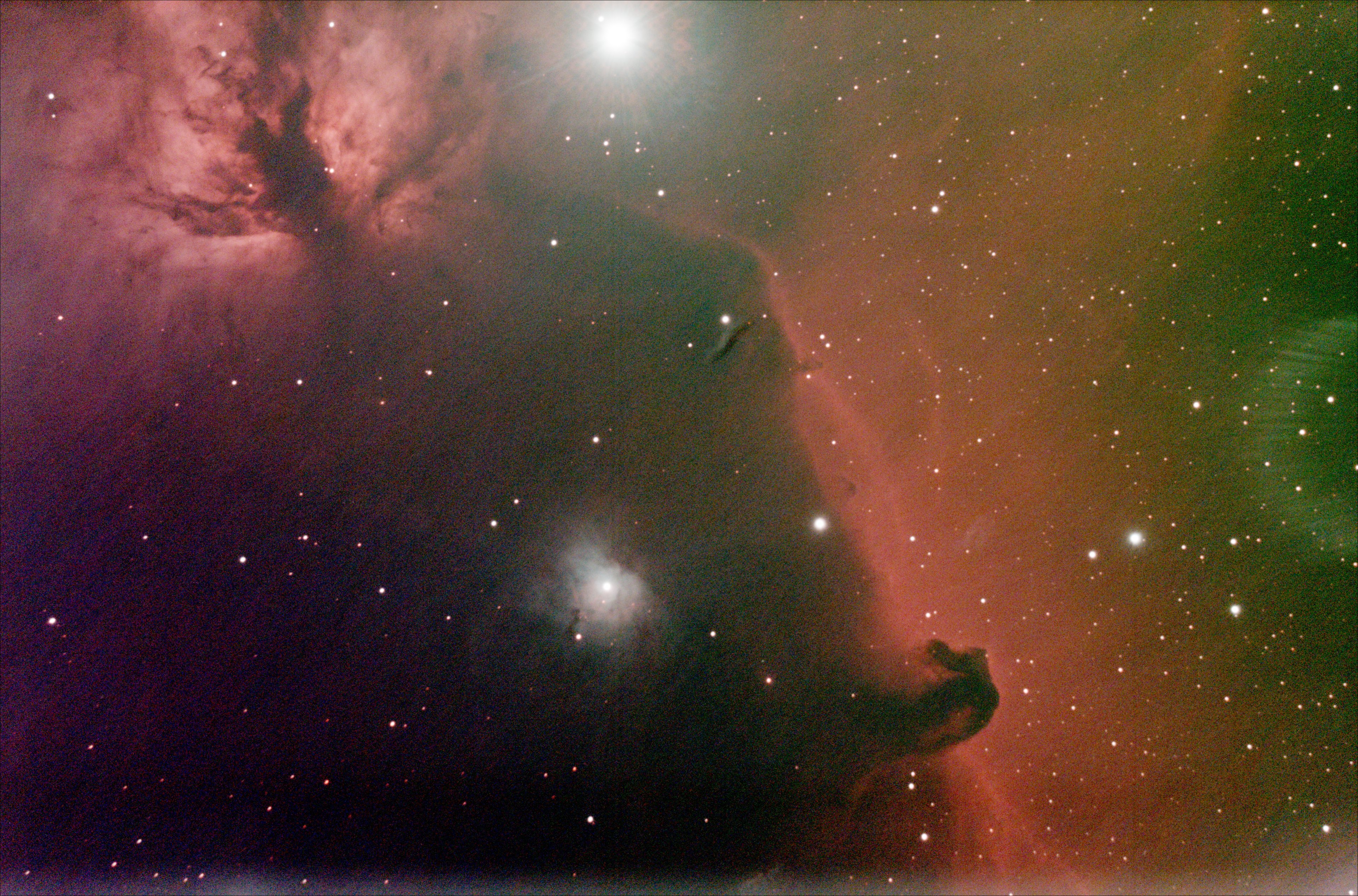 horsehead2.jpg