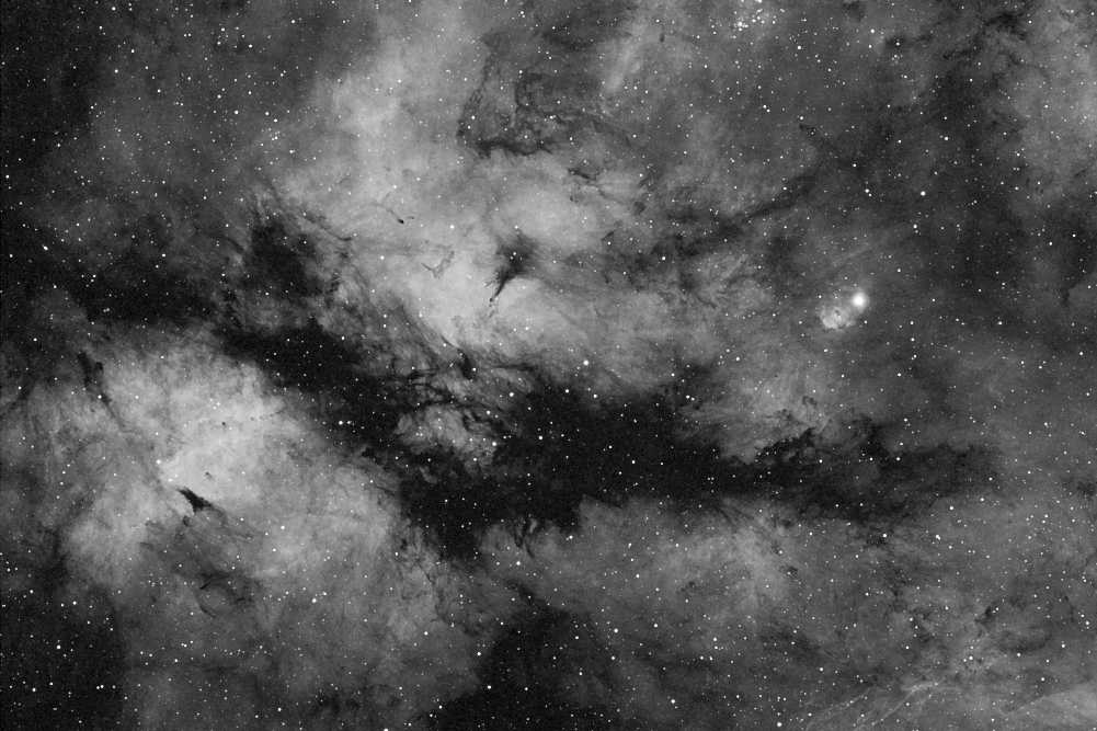 IC 1318