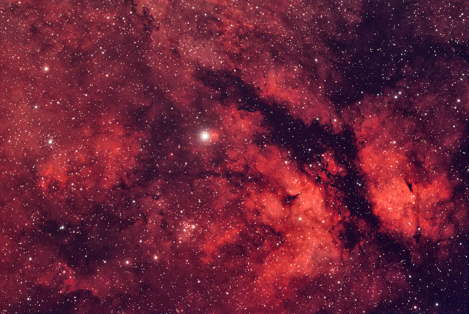 IC 1318