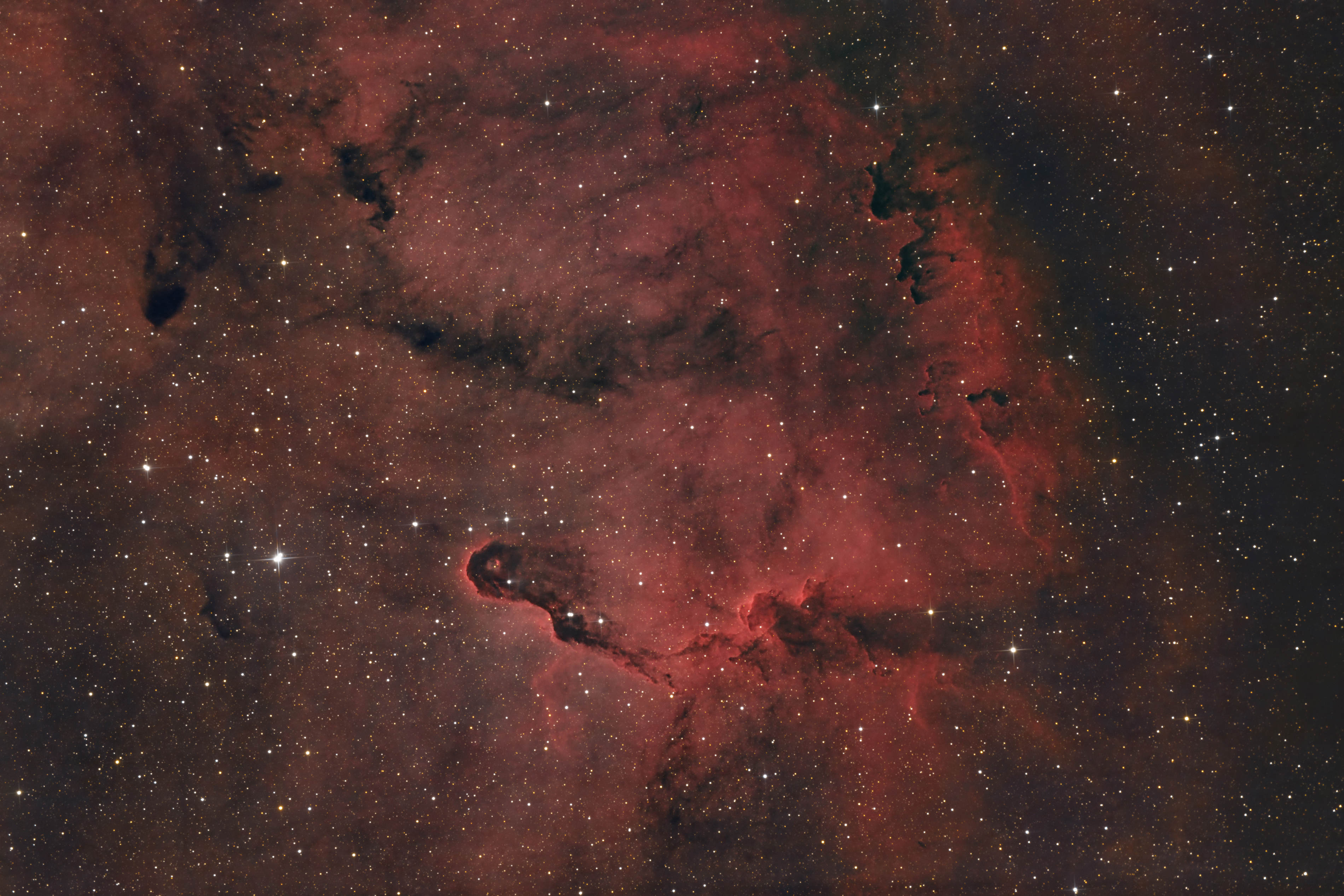 IC 1396 A  (vdb 142): Elefantenrüsselnebel