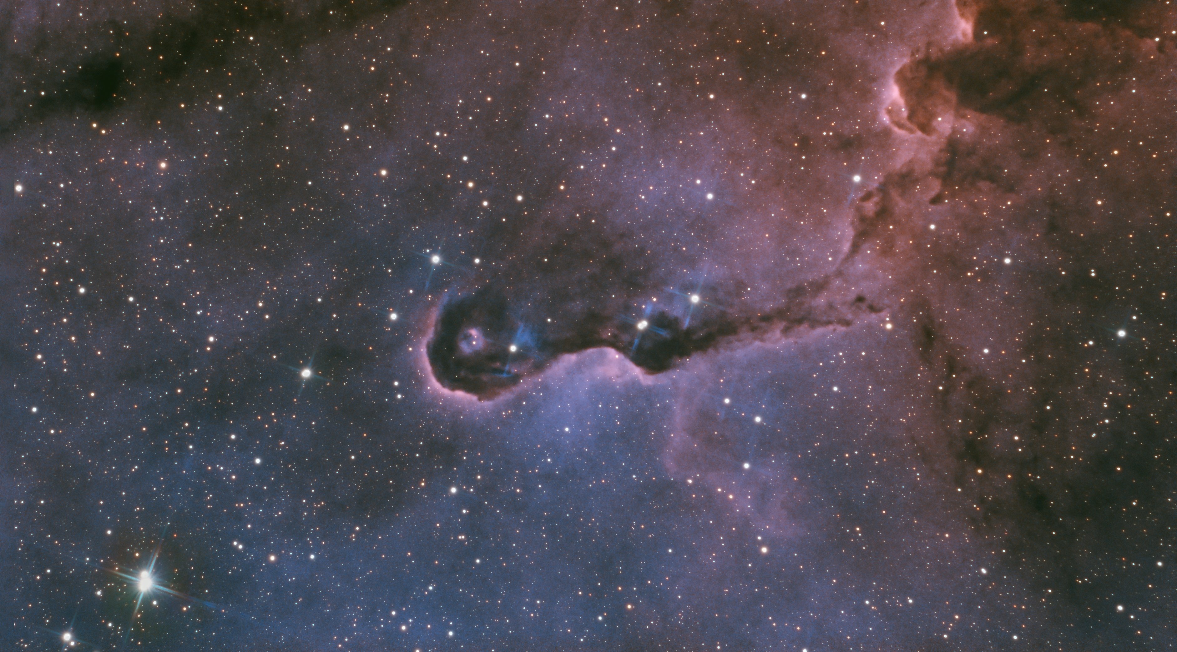 IC 1396 Bicolor