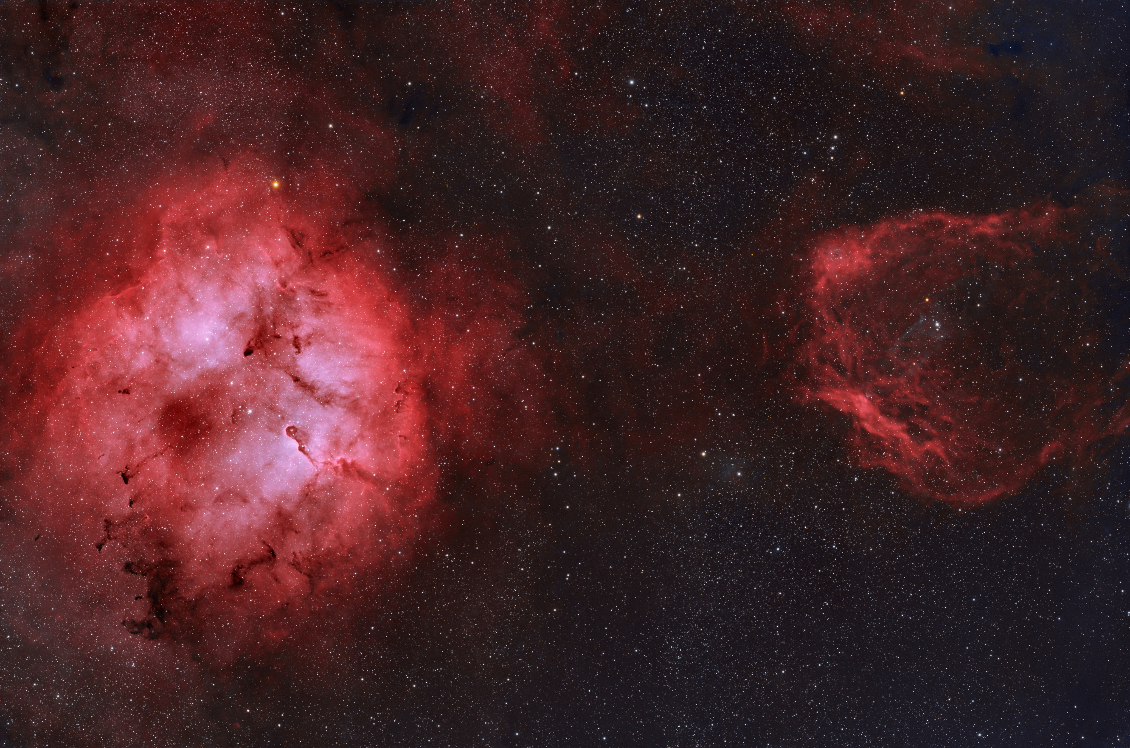 IC 1396 und Sh2-129 - Ein Rüssel, eine Fledermaus und ein Hauch von Tintenfisch