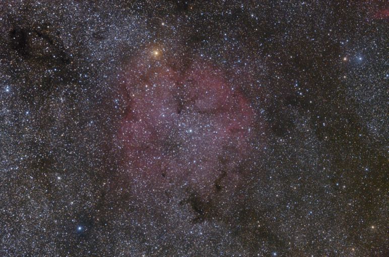 IC 1396