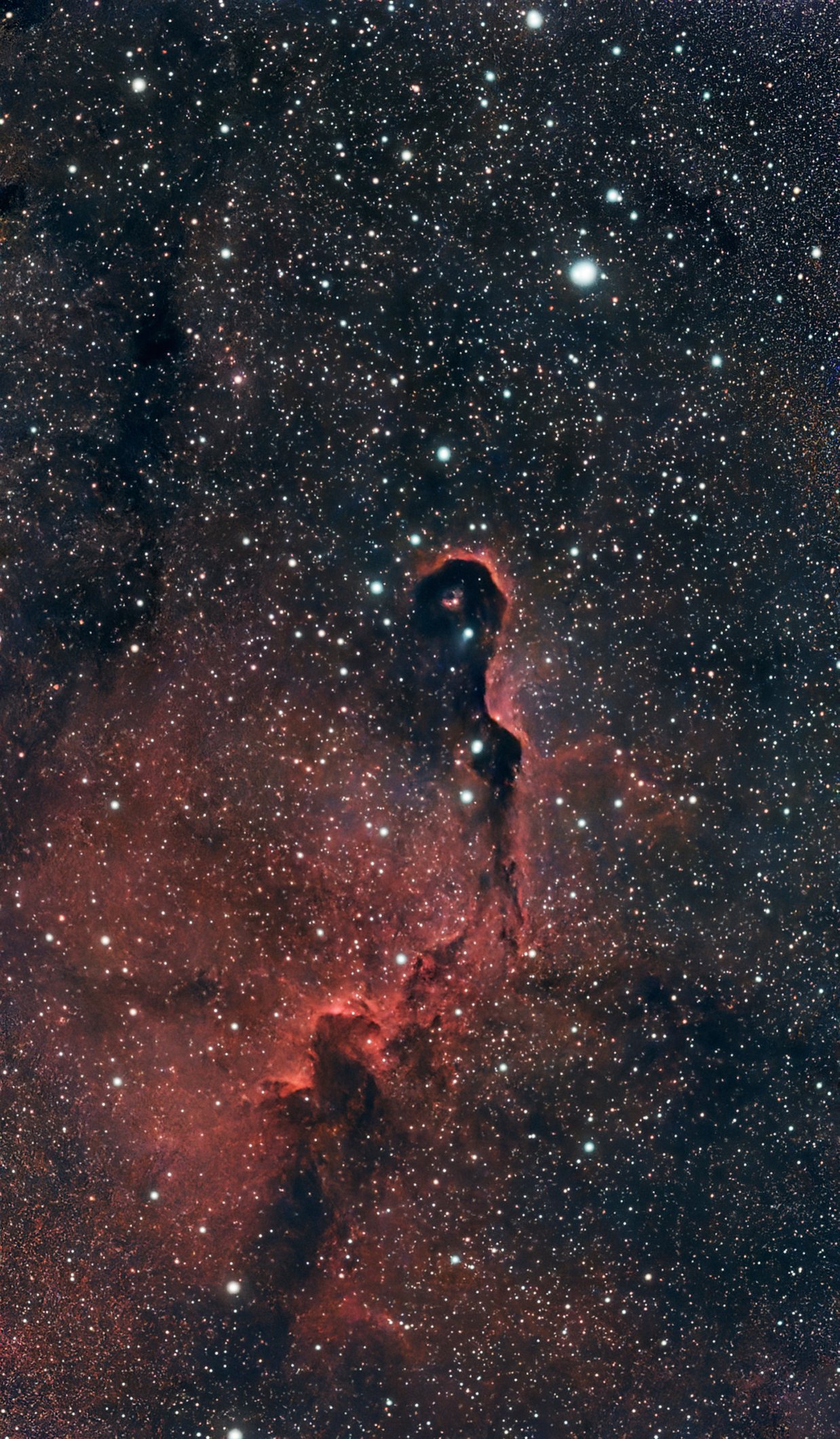 IC 1396A 2026-09-14 250mm S50 LP SirilPs.jpg
