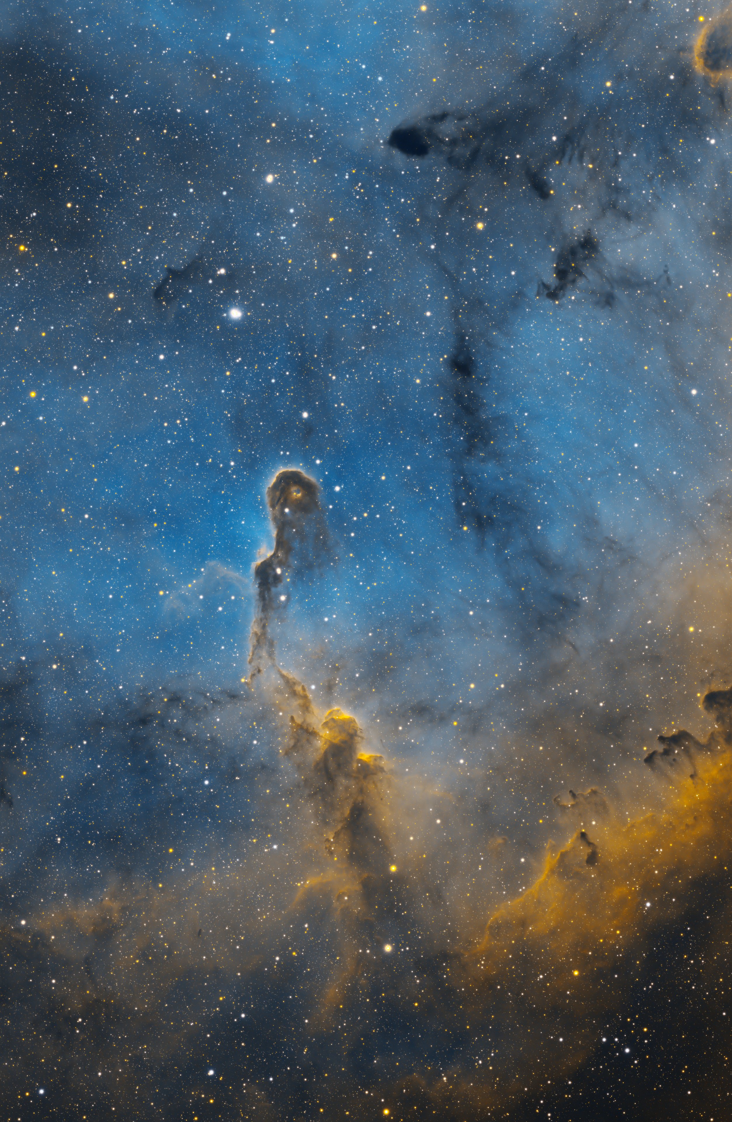 IC 1396a, der Elefantenrüssel