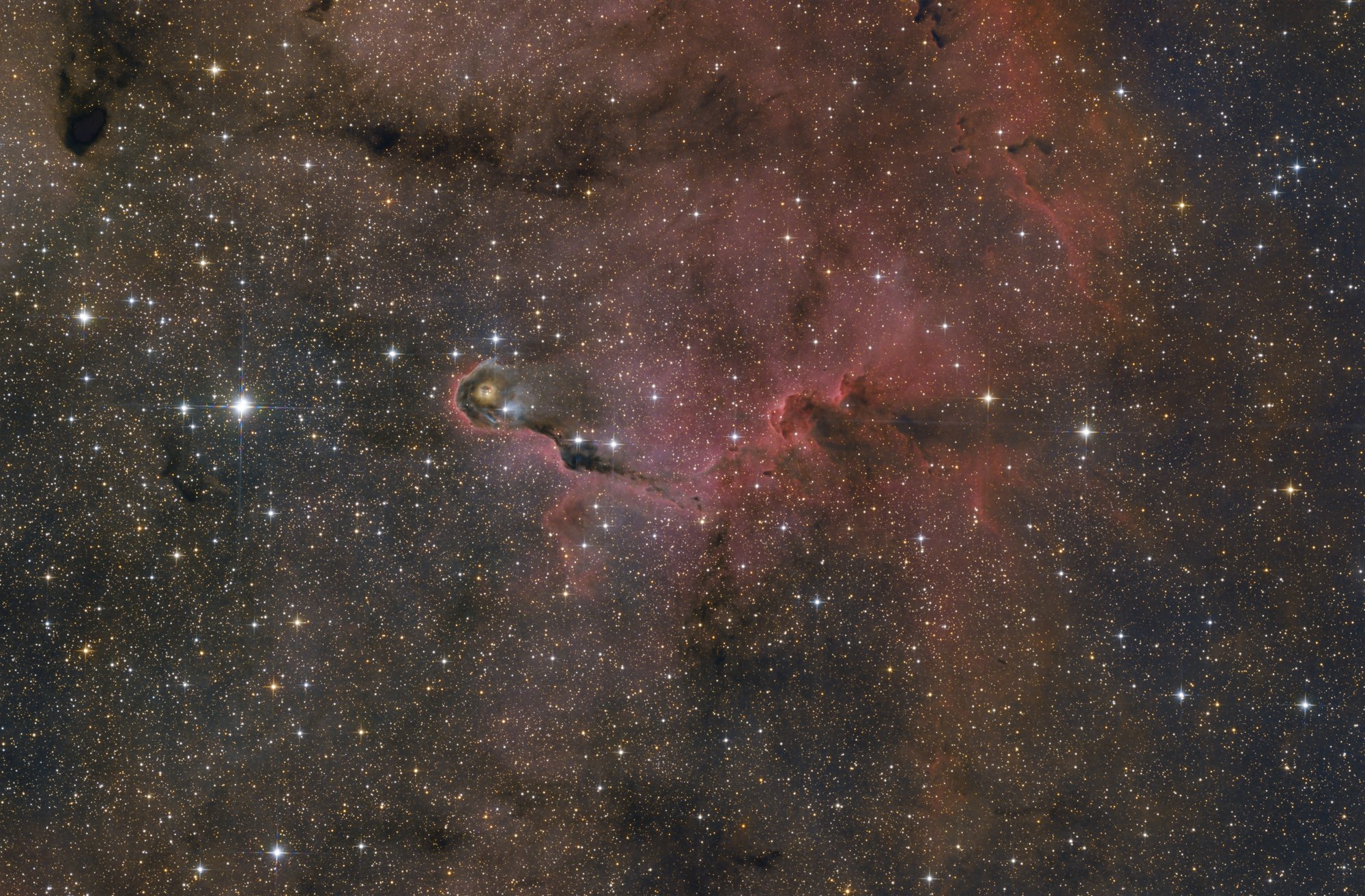IC 1396A - Elefantenrüssel