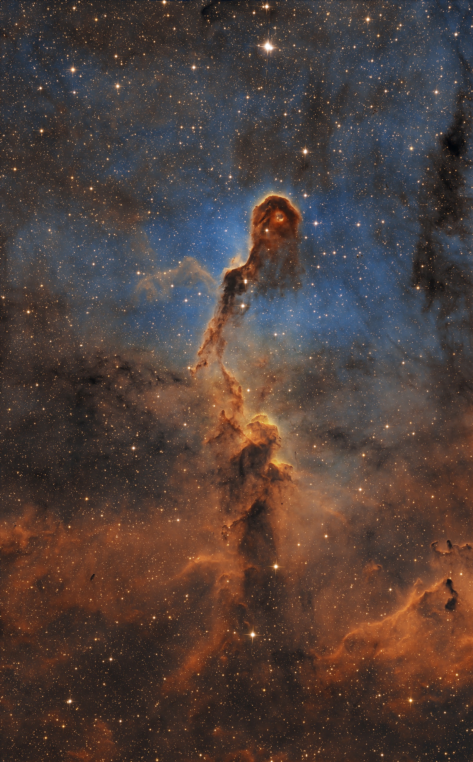 IC 1396A, Elefantenrüsselnebel in SHO