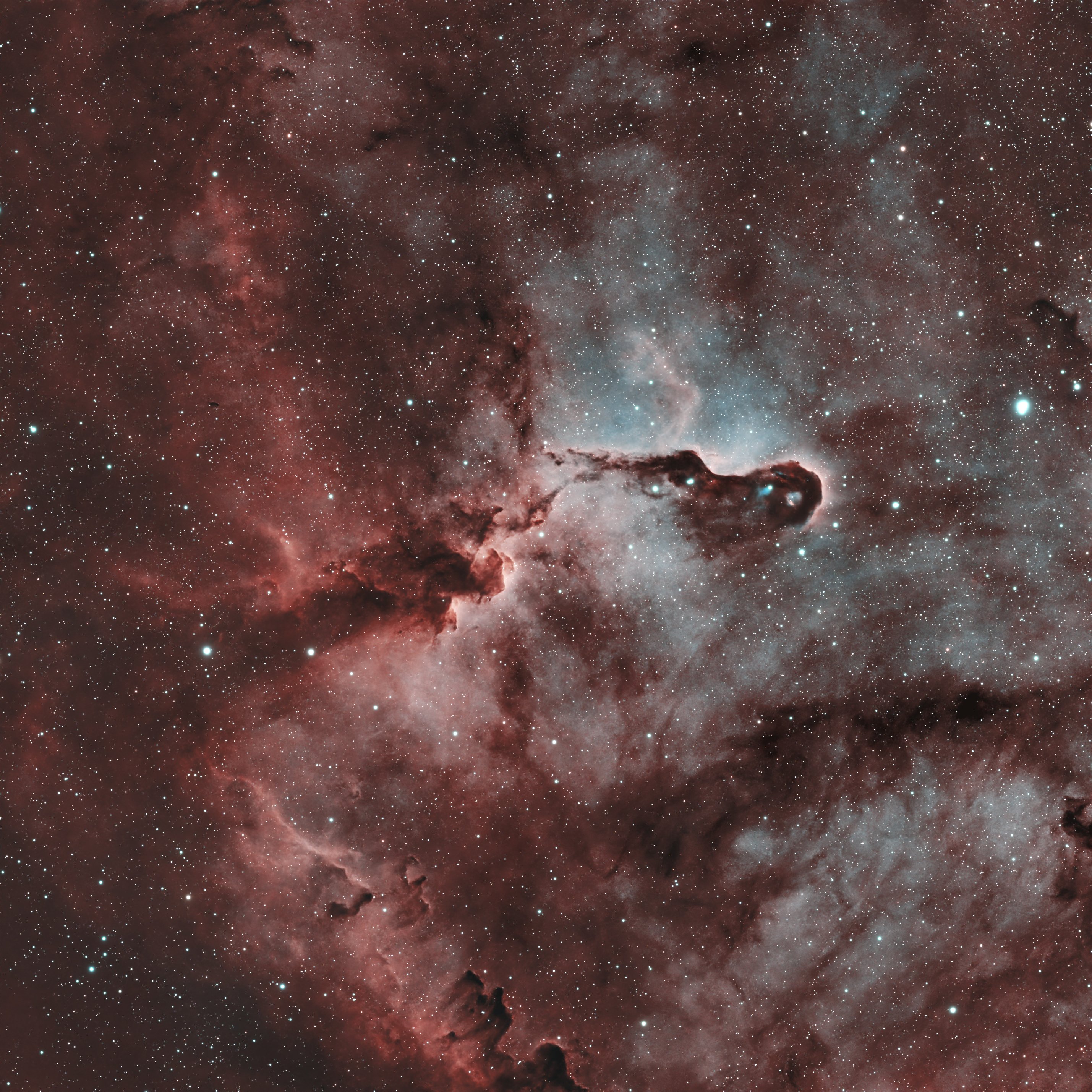 IC 1396A - Elefantenrüsselnebel