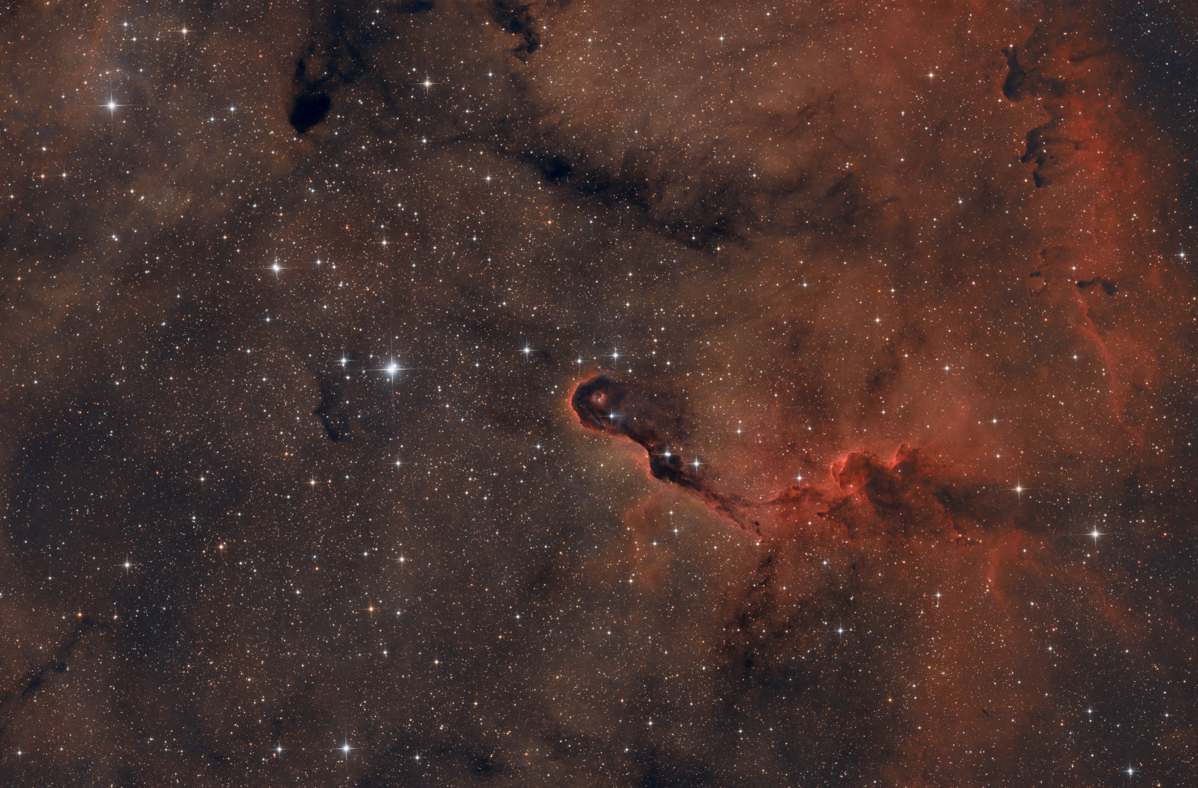IC 1396A - Elefantenrüsselnebel
