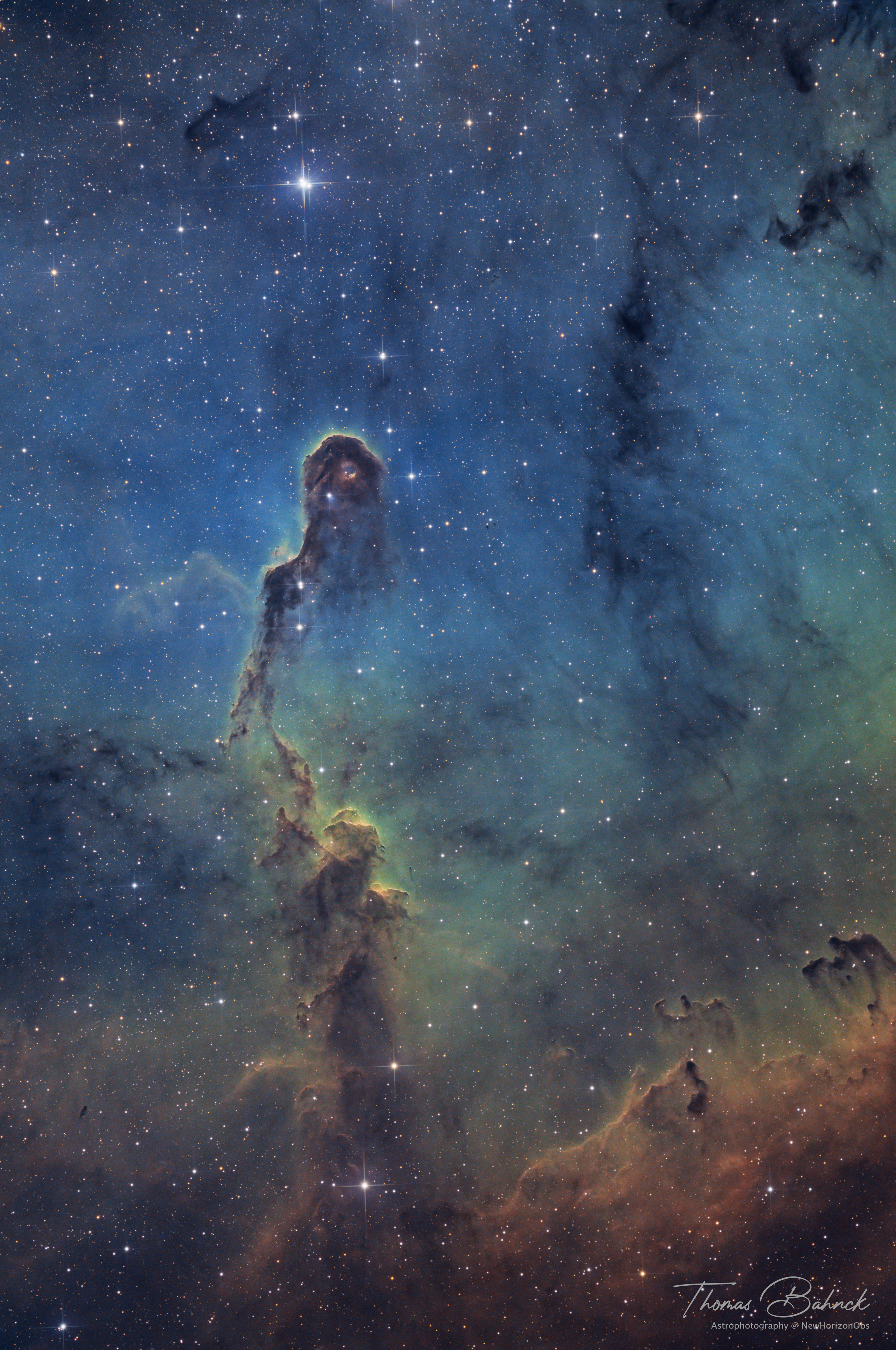 IC 1396A / vdB 142 - Elefantenrüssel