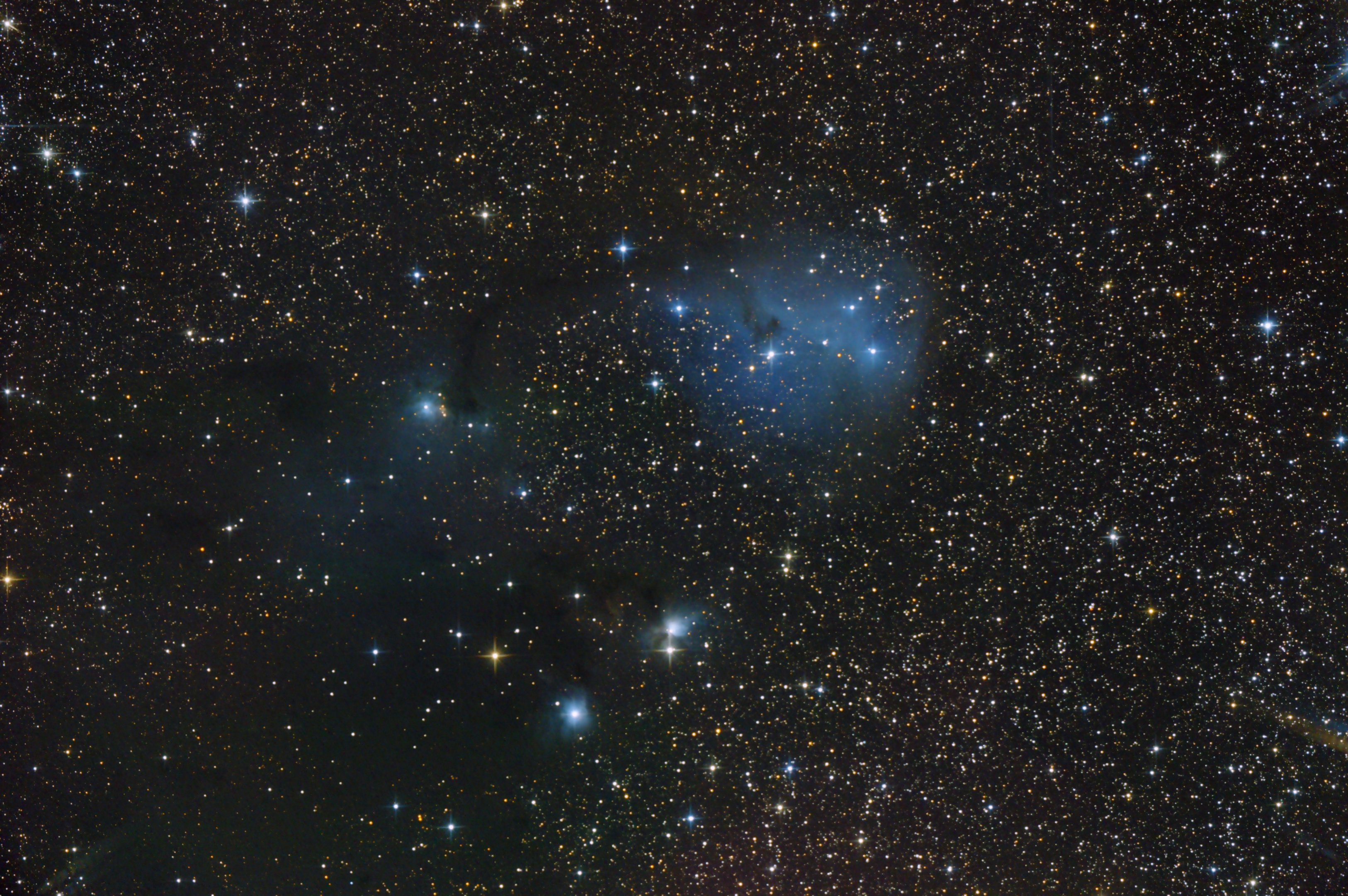 IC 2169