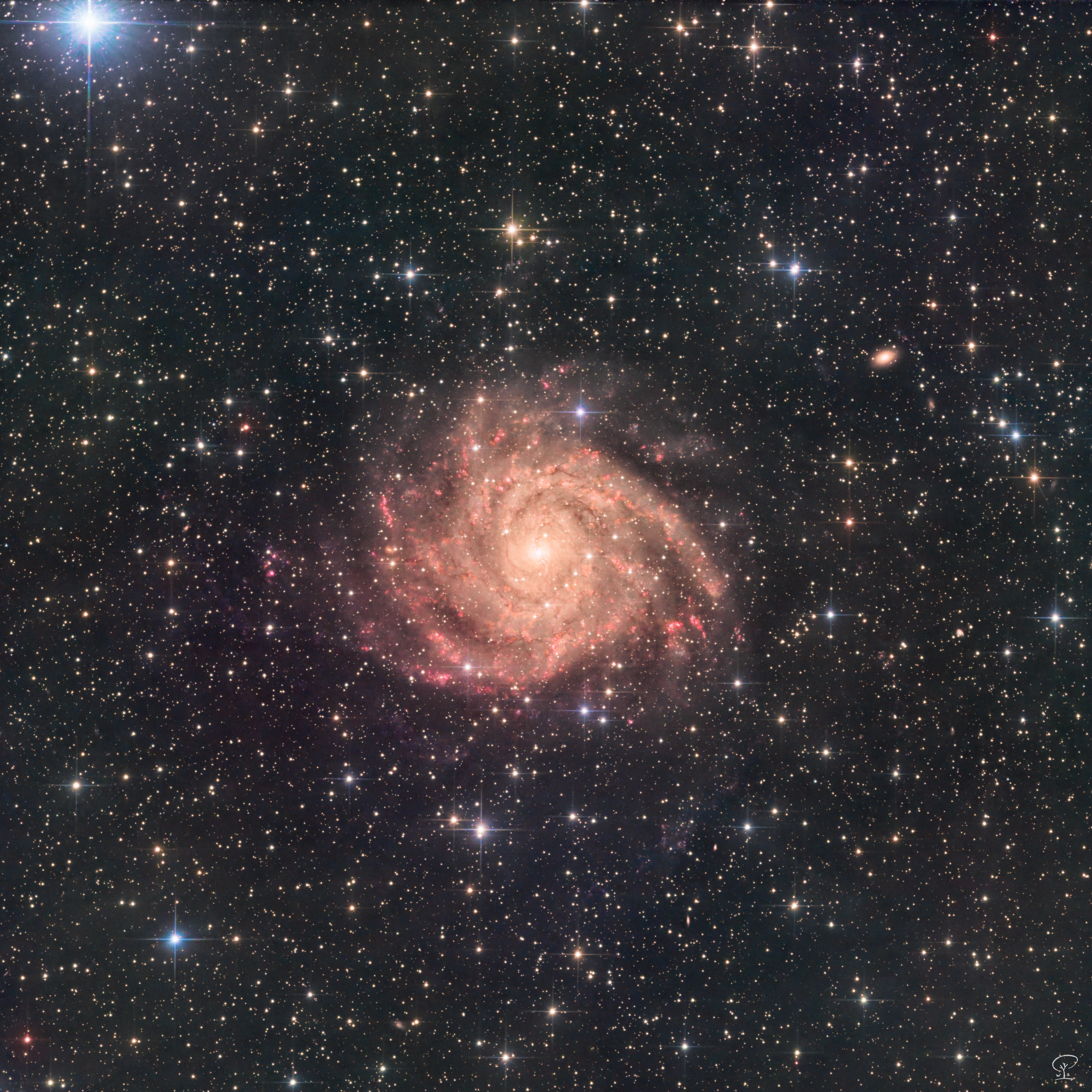 IC 342, die verborgene Galaxie