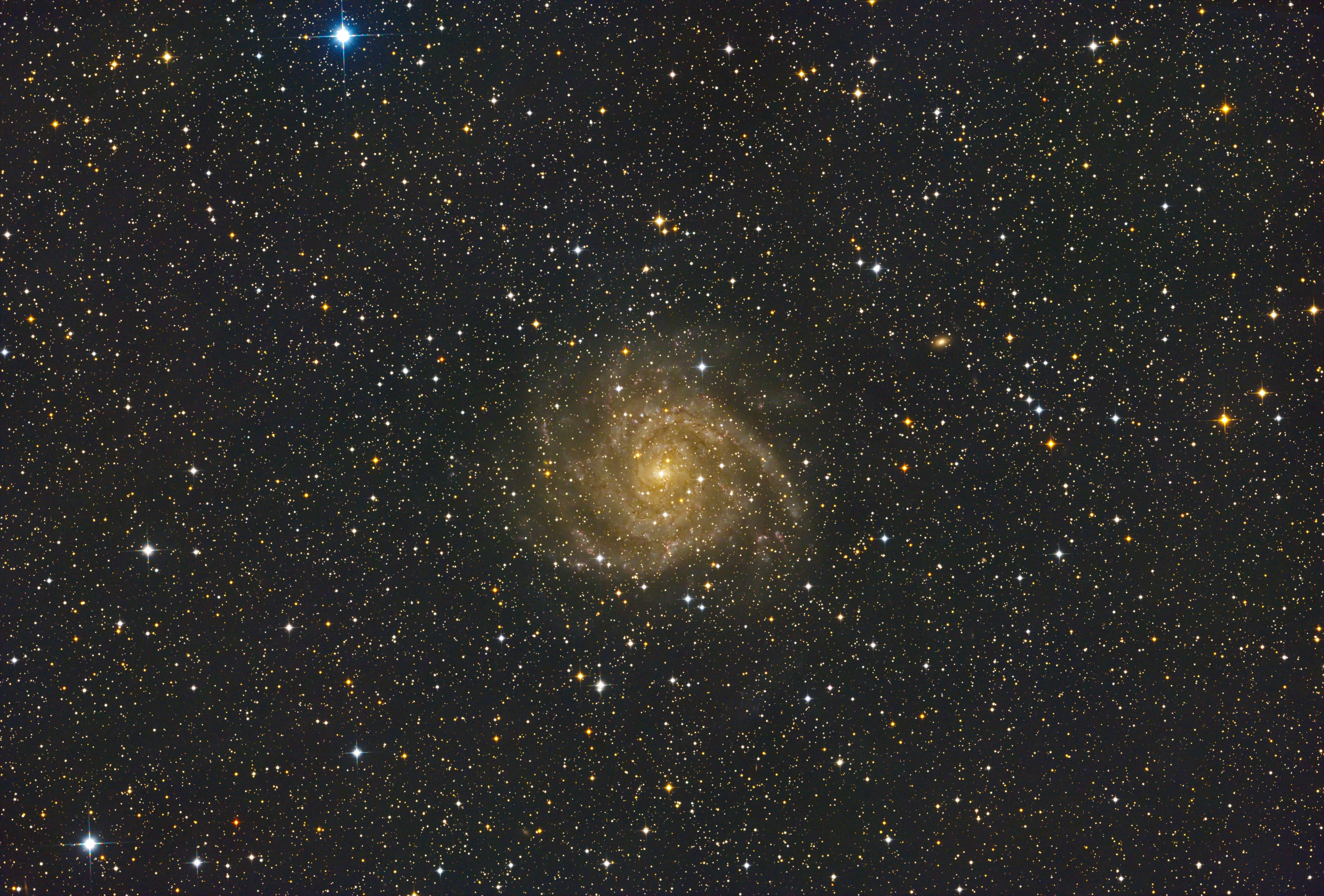 IC 342 | Forum Astronomie.de