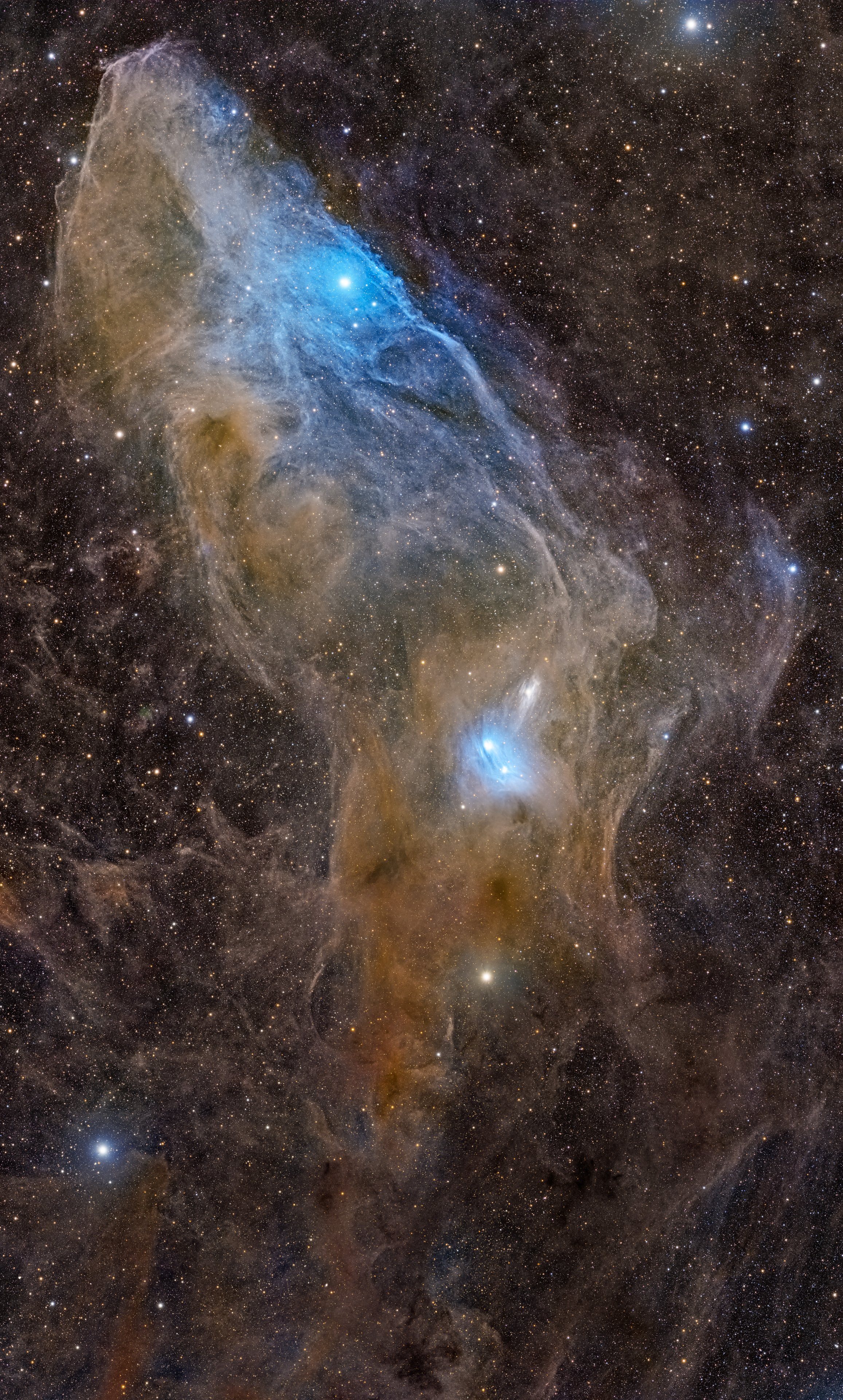 IC 4592: Blauer Pferdekopfnebel im 4 Panel-Mosaic