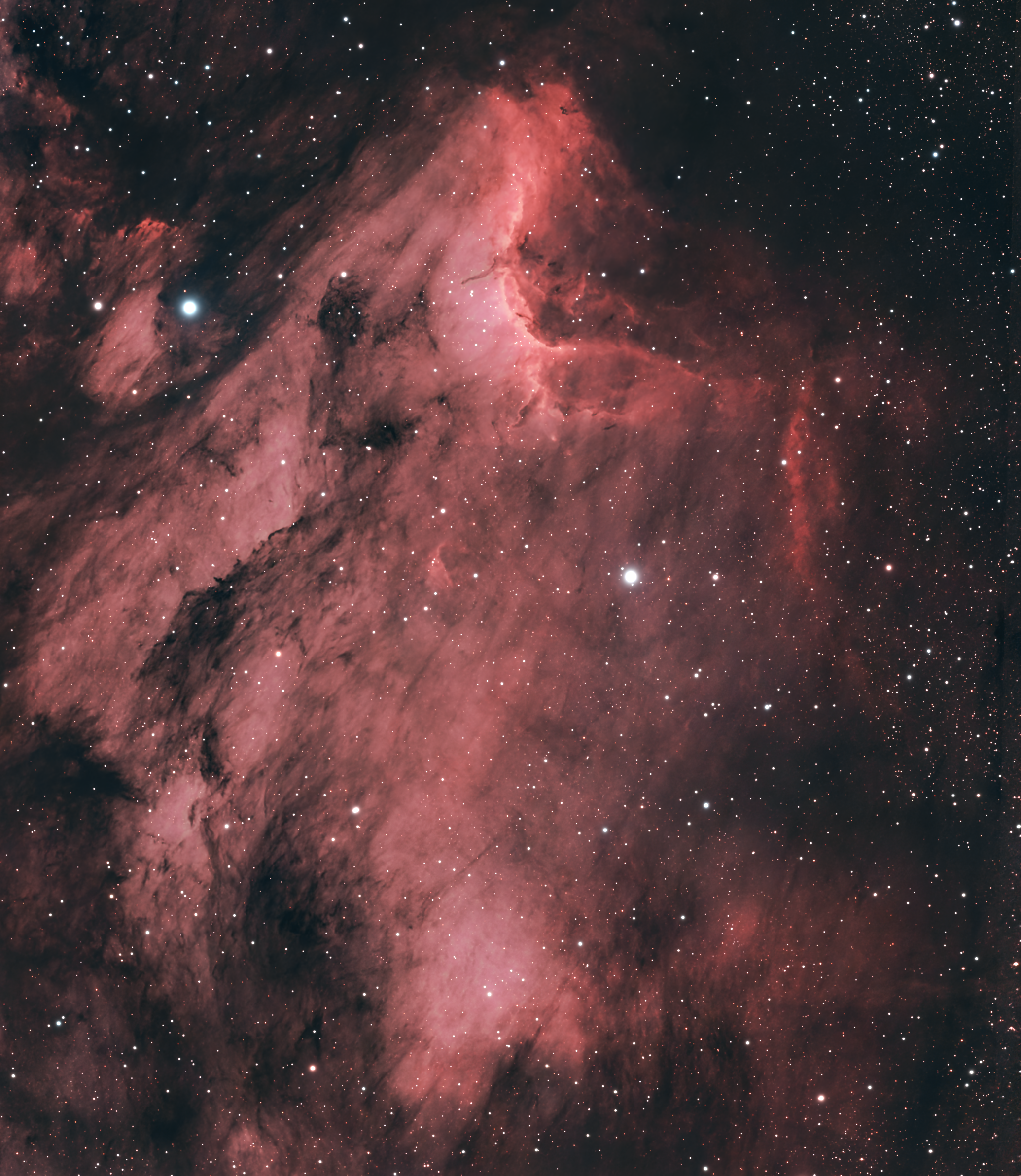 IC 5070 – Der Pelikannebel im Sternbild Schwan